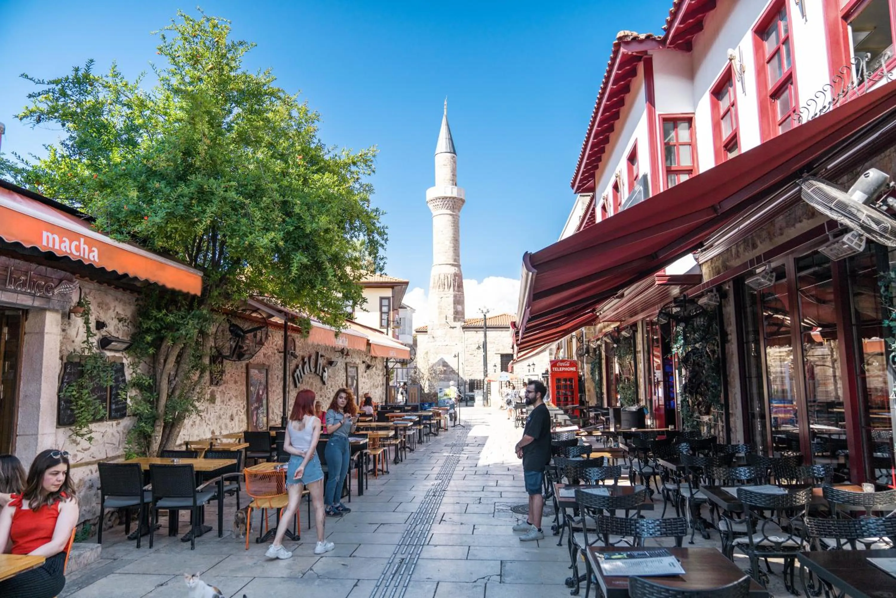 Natural landscape in OLSEN HOTELS