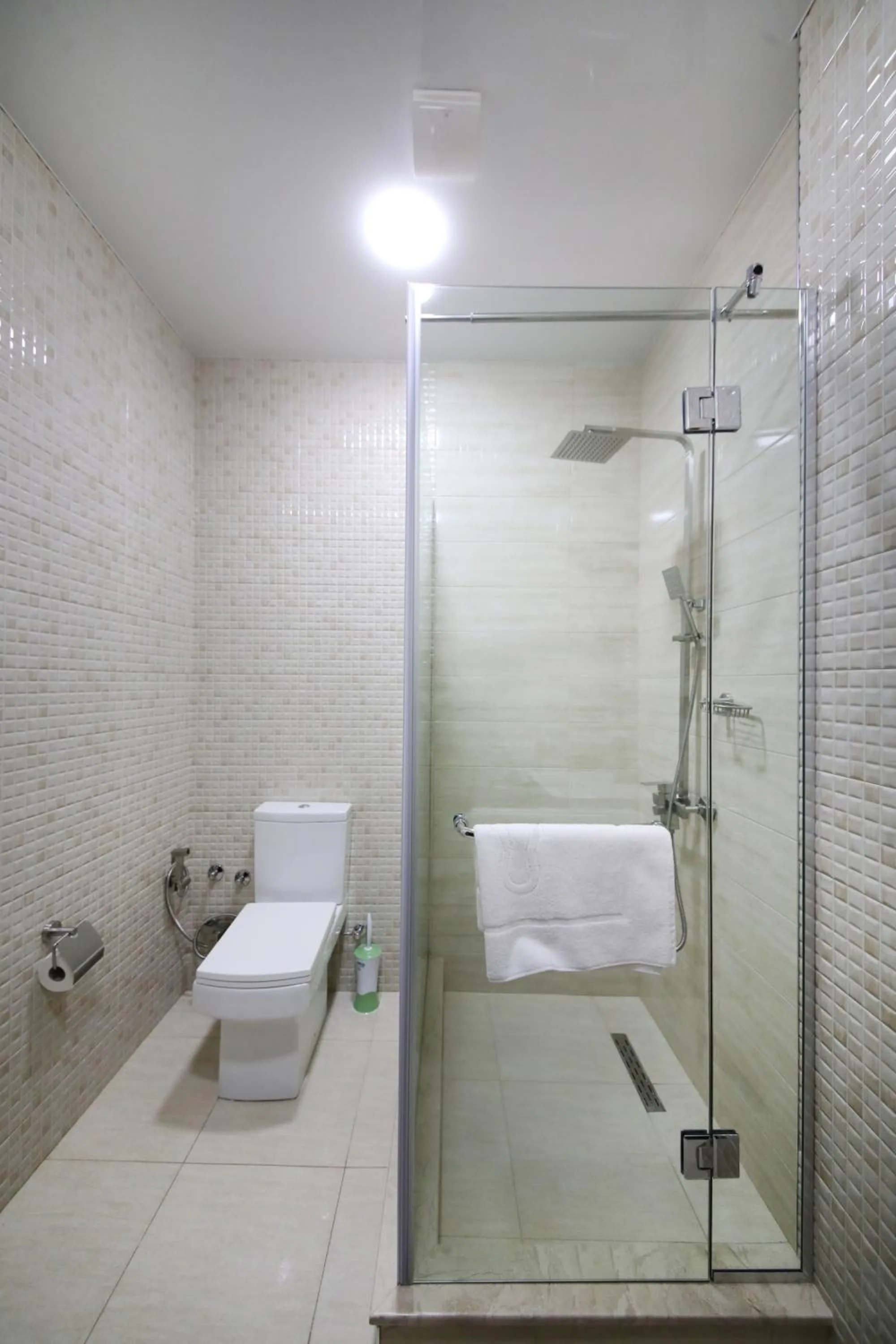 Toilet in Hotel Panoramic