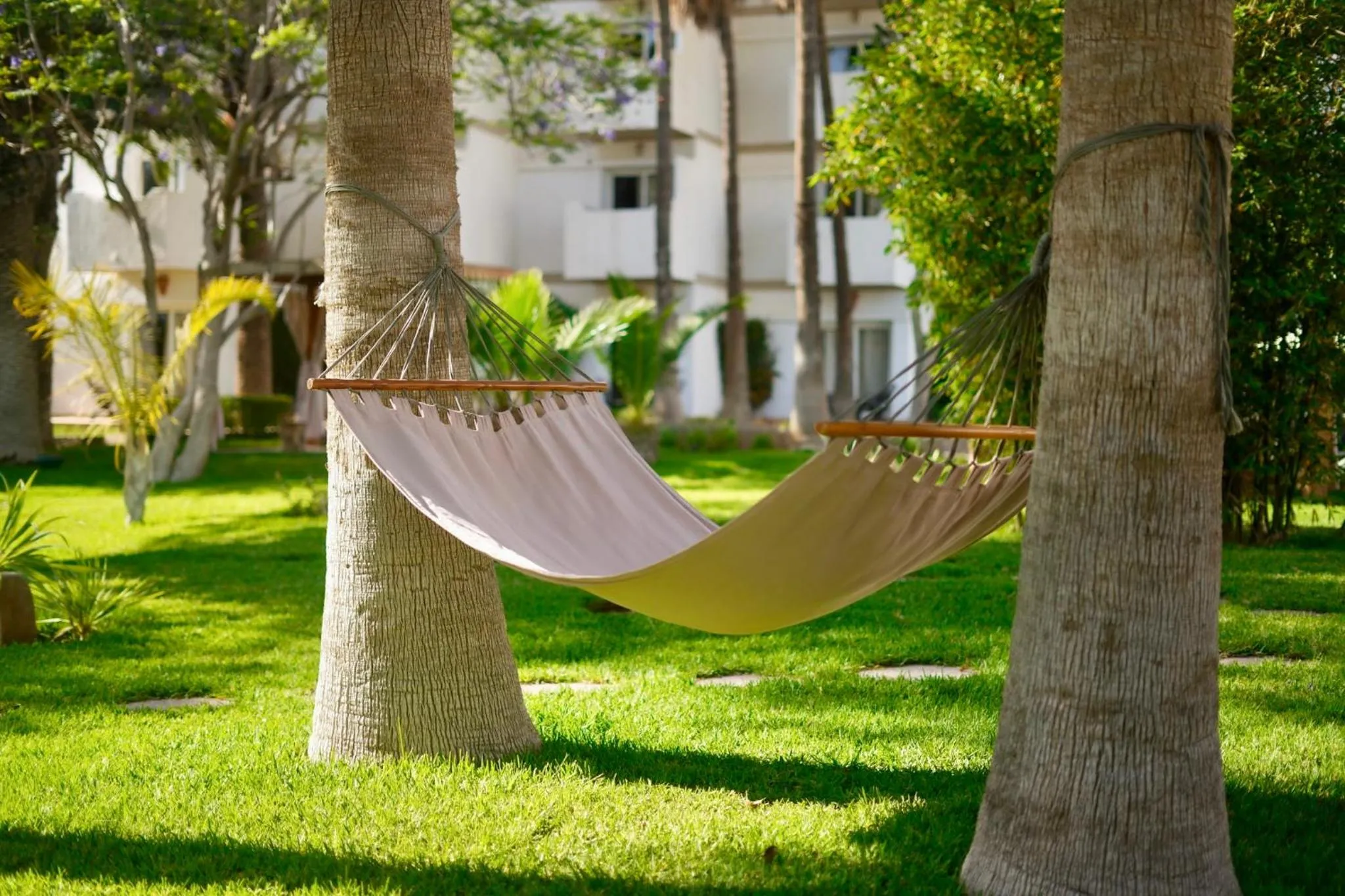 Garden view in Odyssee Park Hotel