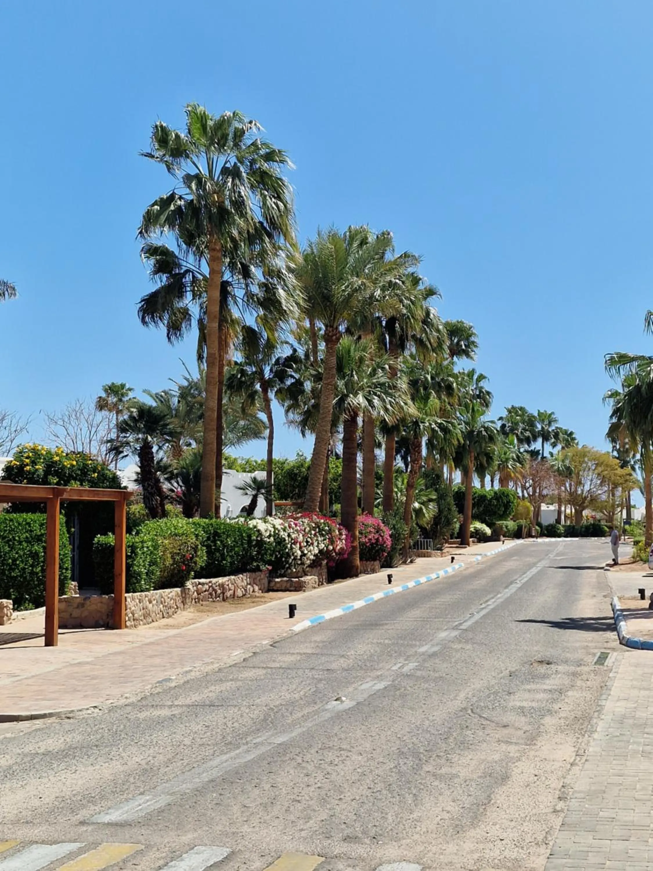 DOMINA CORAL BAY HAREM