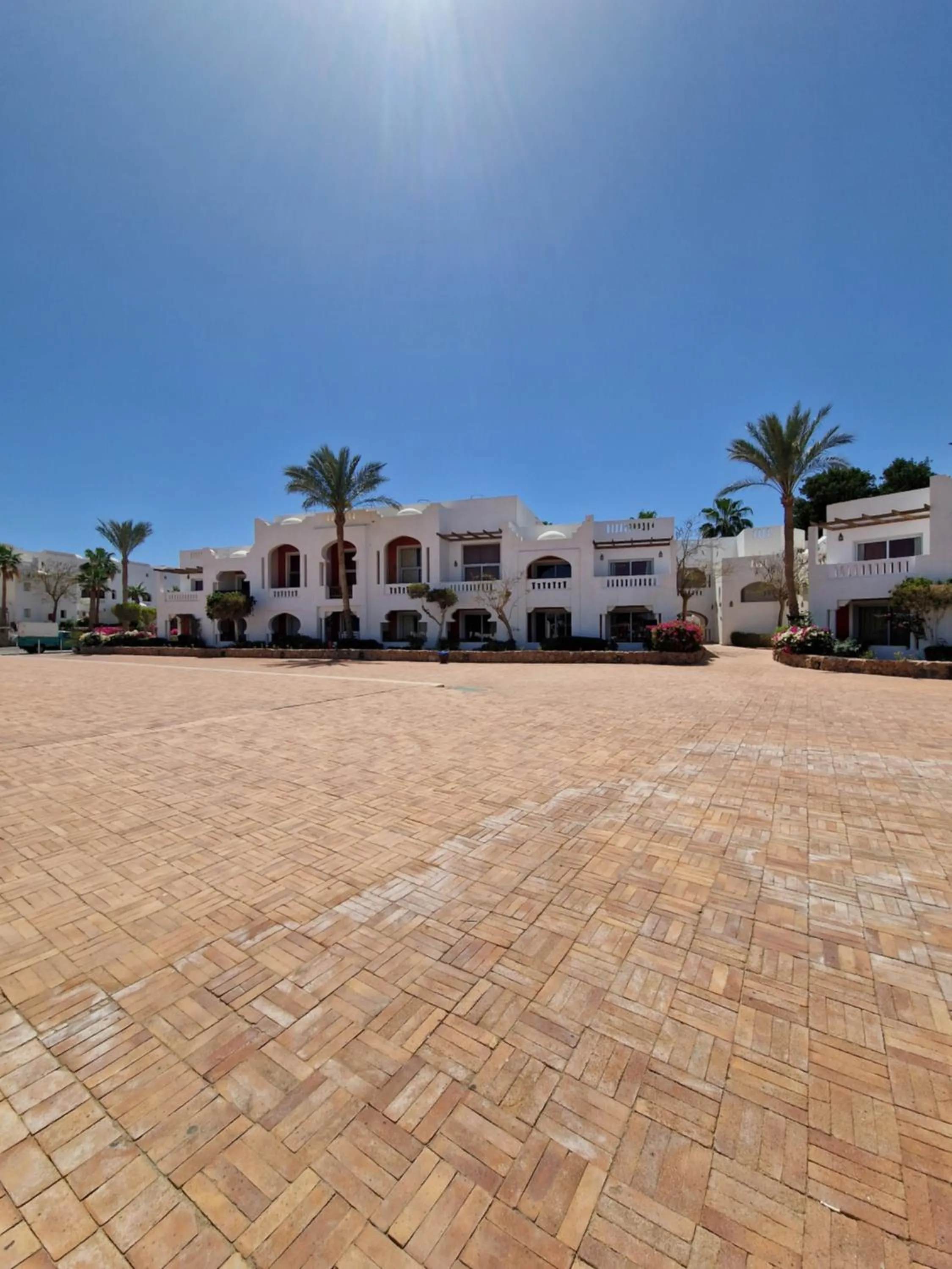 DOMINA CORAL BAY HAREM