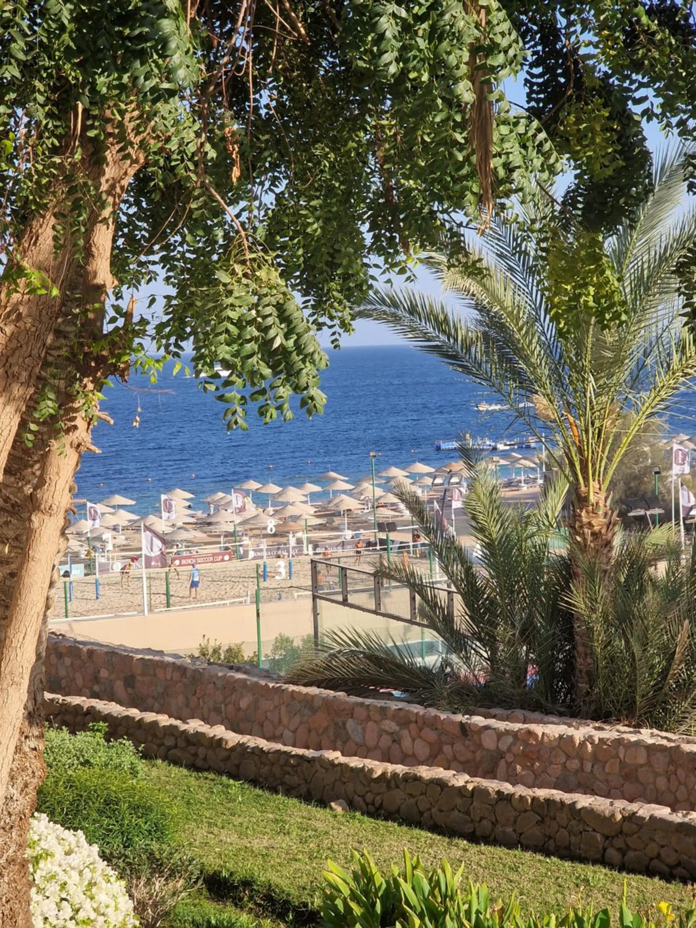 DOMINA CORAL BAY HAREM