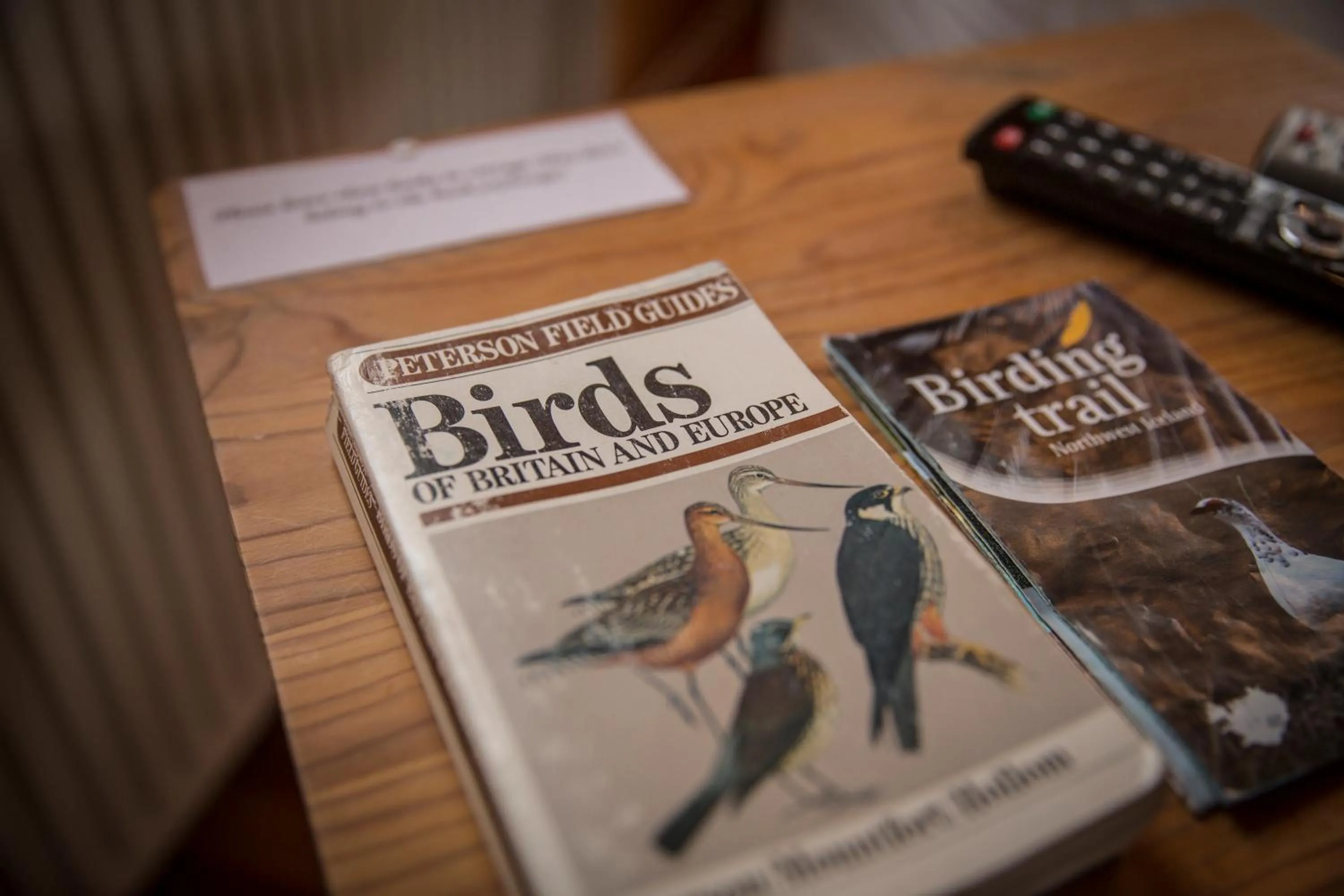 Decorative detail in Hestasport Cottages