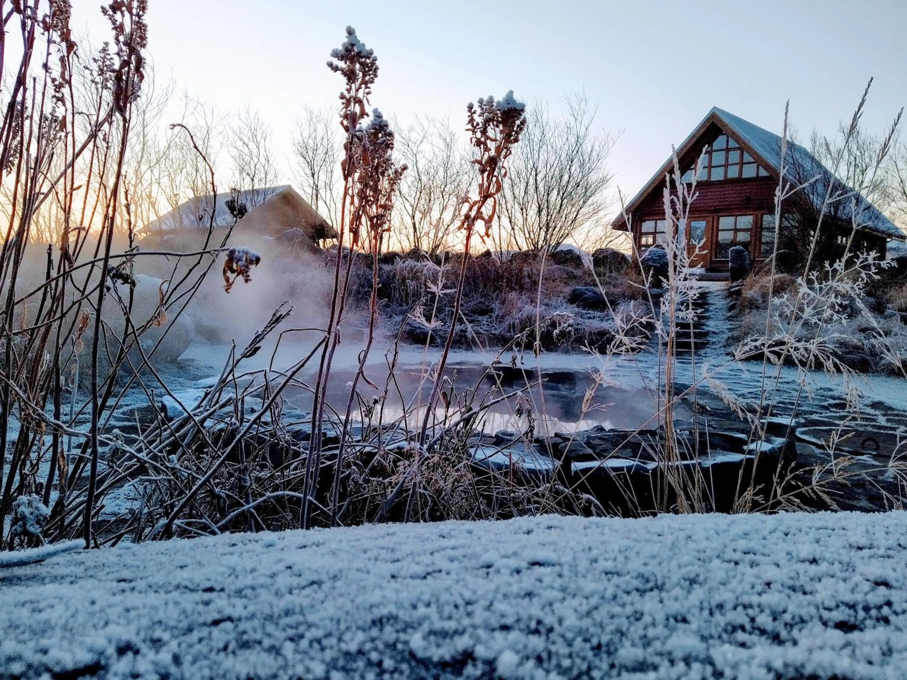 Garden view in Hestasport Cottages