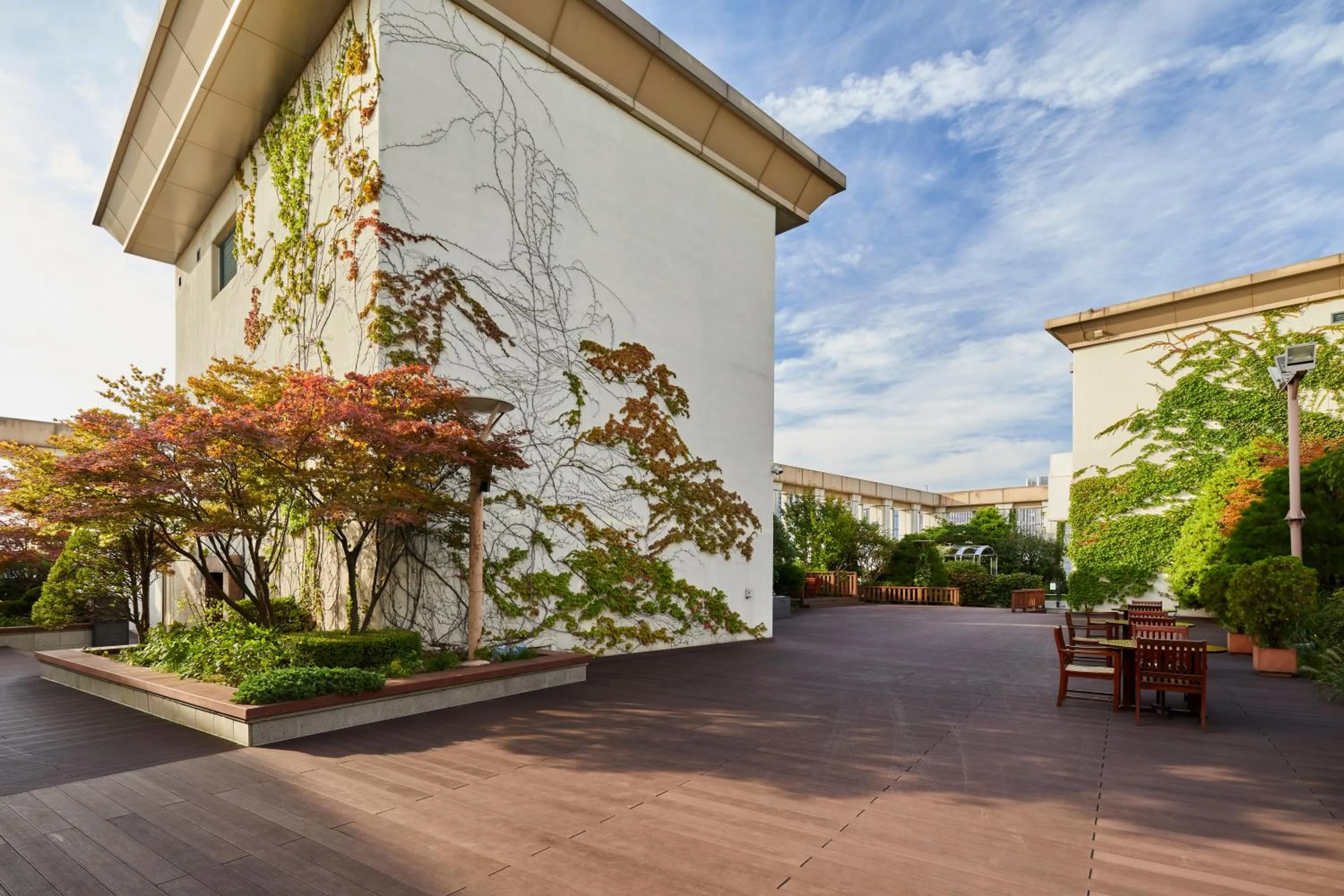 Garden in Somerset Palace Seoul