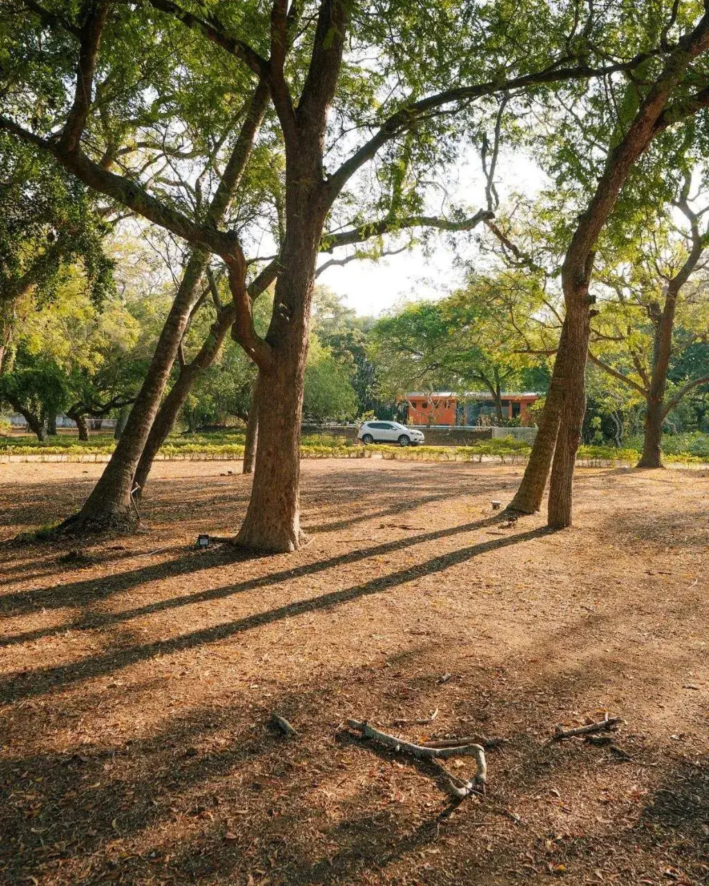 Property building in Peacock Beach Resort and Spa Property building in Peacock Beach Resort and Spa