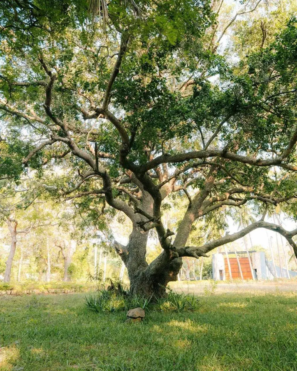 Property building in Peacock Beach Resort and Spa Property building in Peacock Beach Resort and Spa