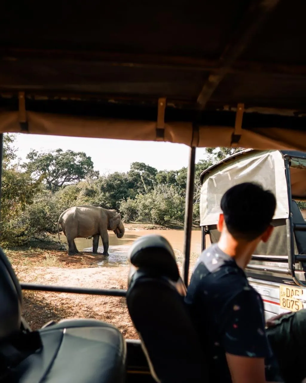 Day in Peacock Beach Resort and Spa