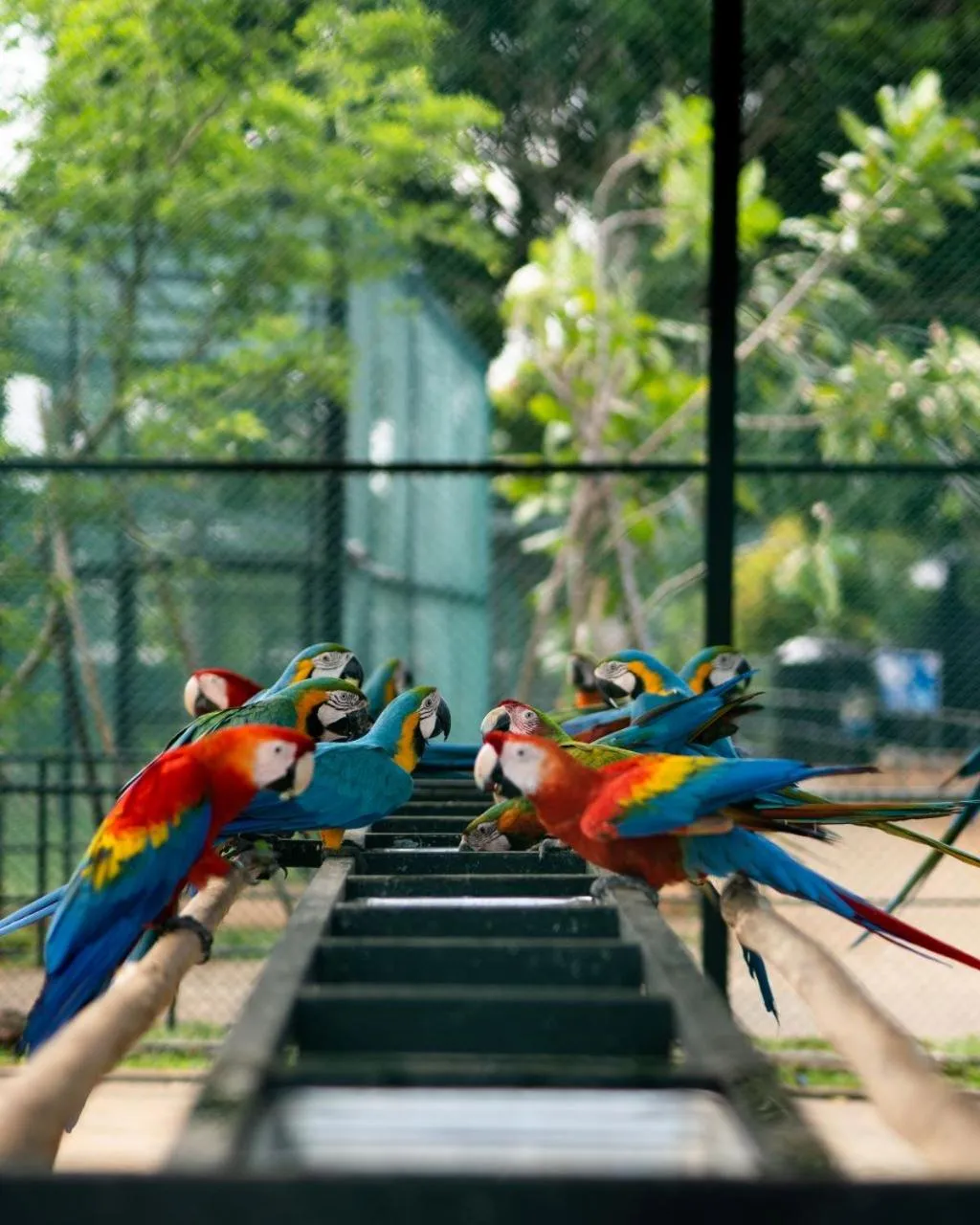 Day in Peacock Beach Resort and Spa