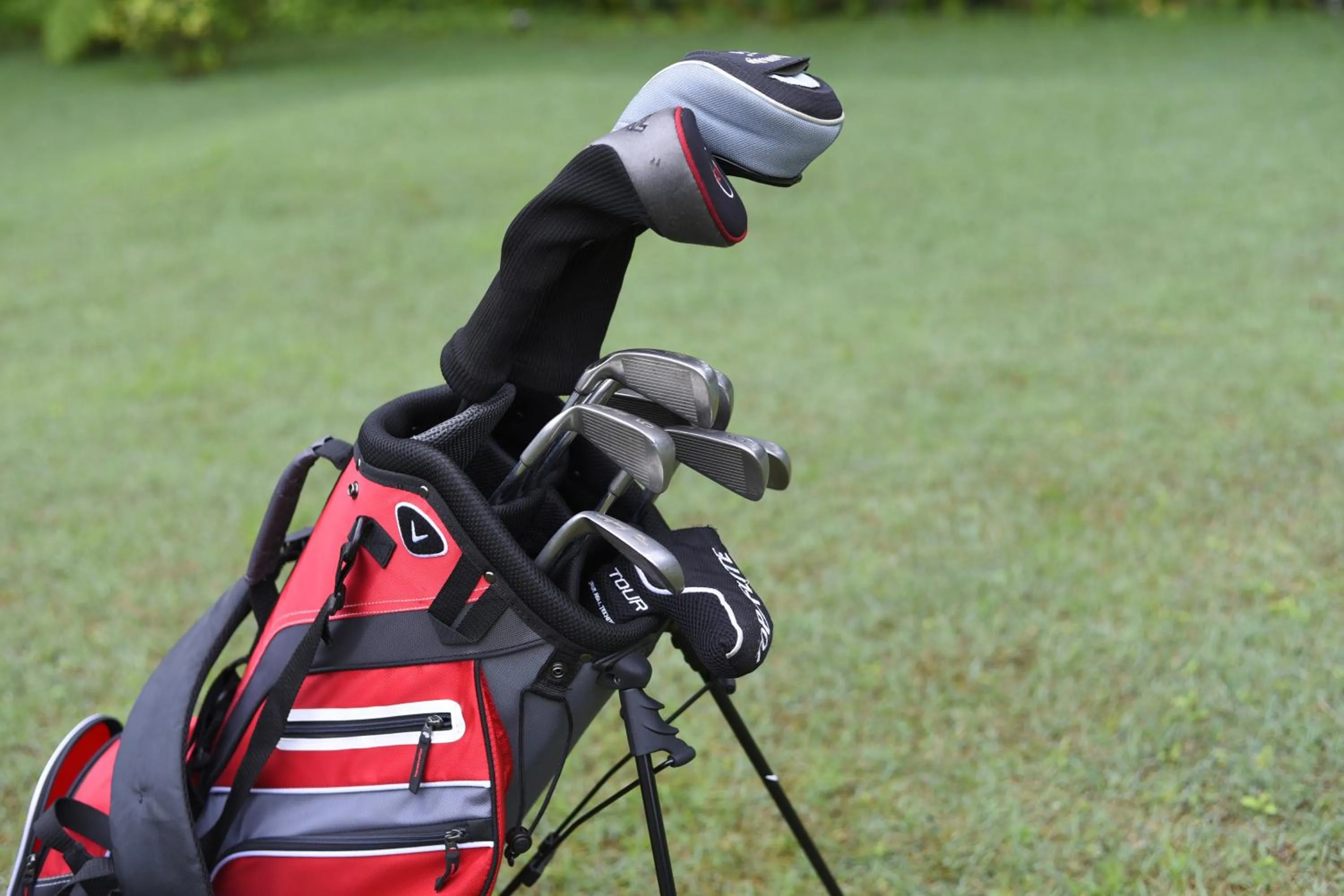 Activities in The Bellwood Manor