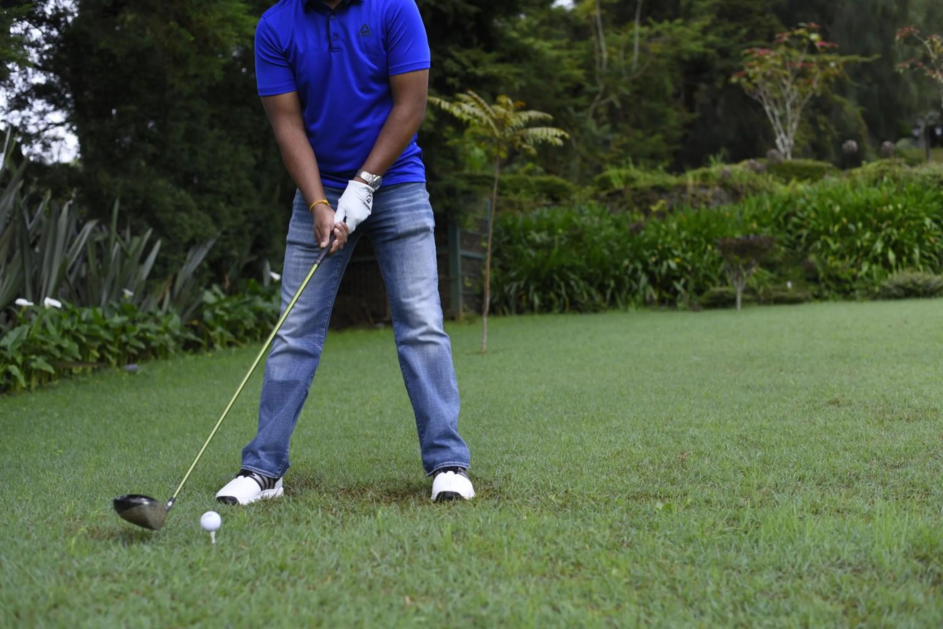 Activities in The Bellwood Manor