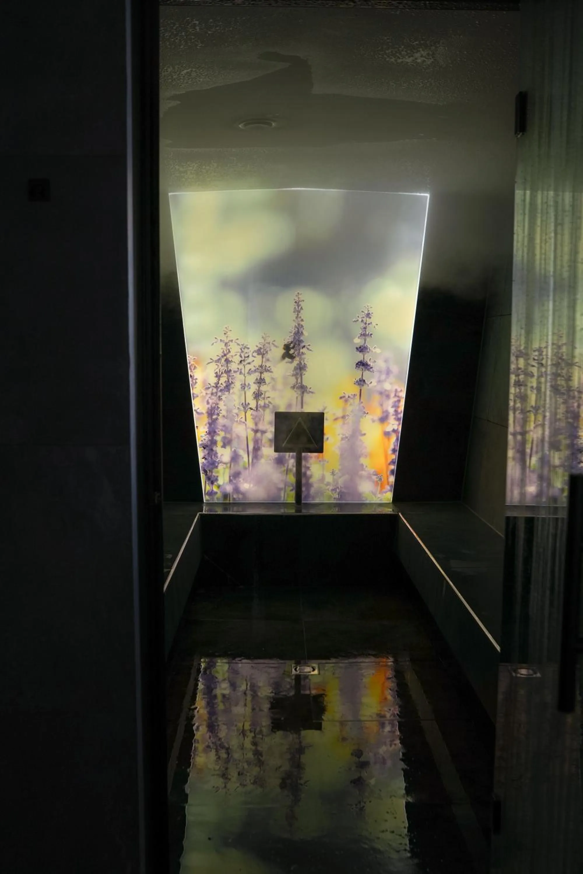 Steam room in Impulshotel FREIGOLD