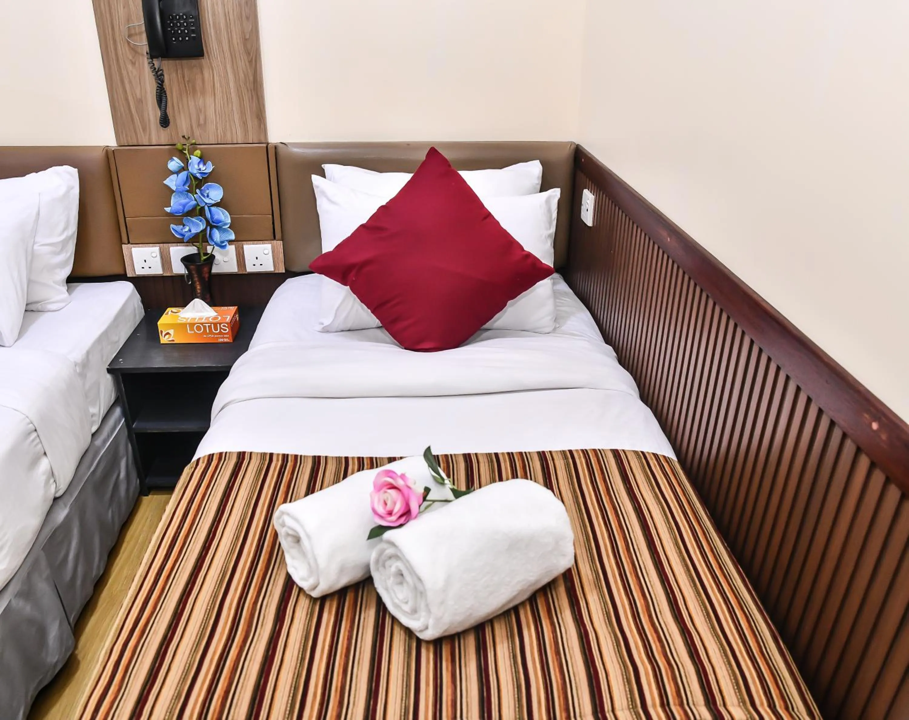 Bed in Beehive Central