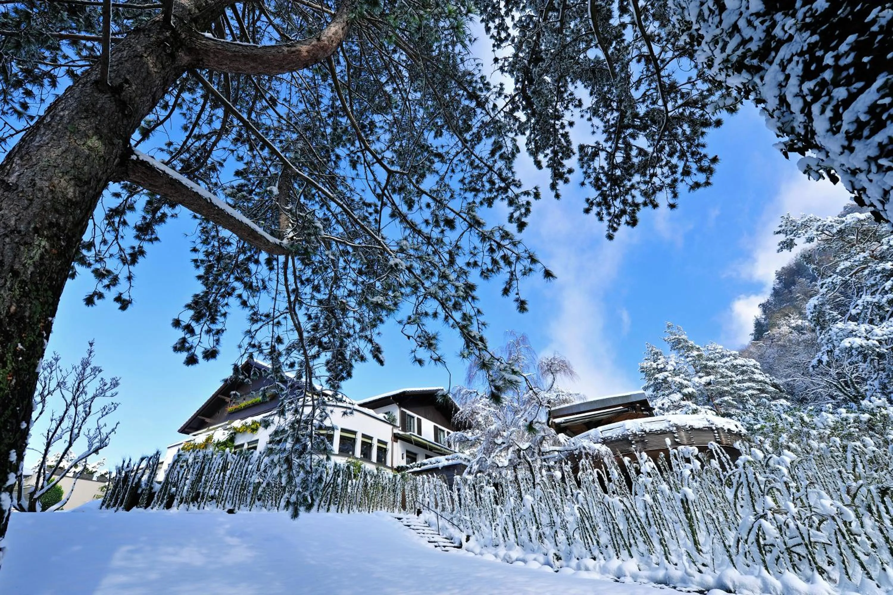 Property building in Park Hotel Sonnenhof - Relais & Châteaux