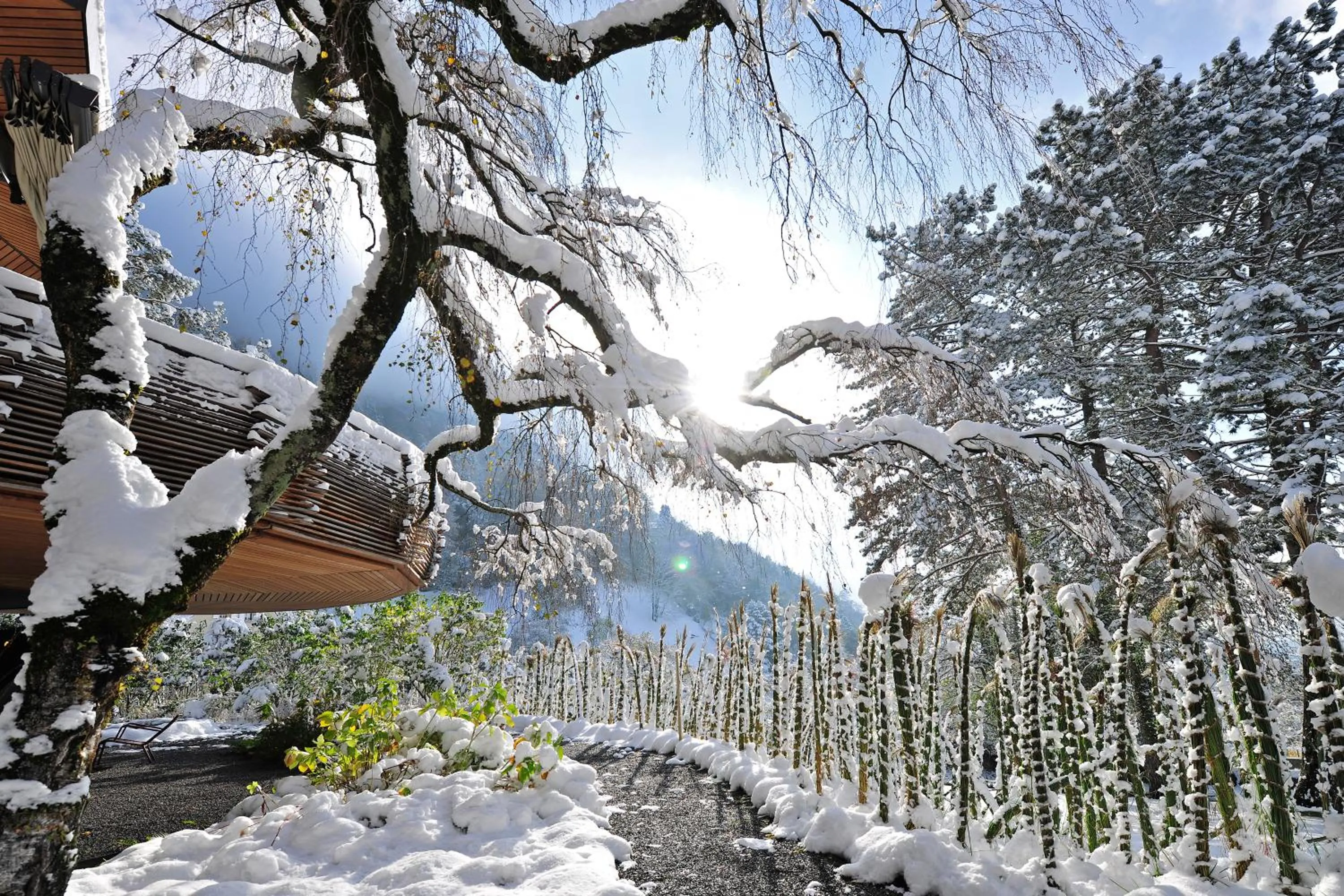 View (from property/room) in Park Hotel Sonnenhof - Relais & Châteaux