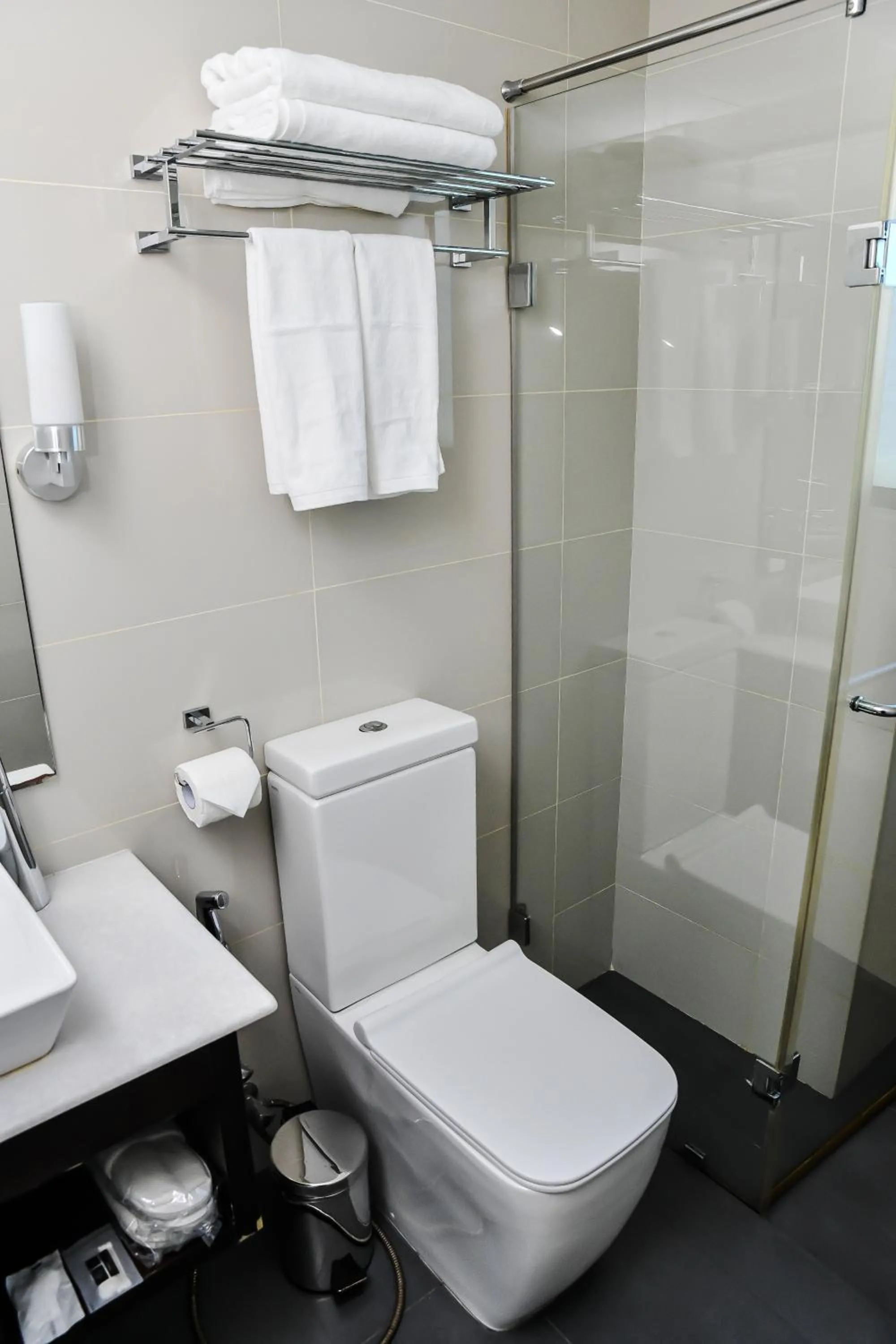 Toilet in Beehive Premier