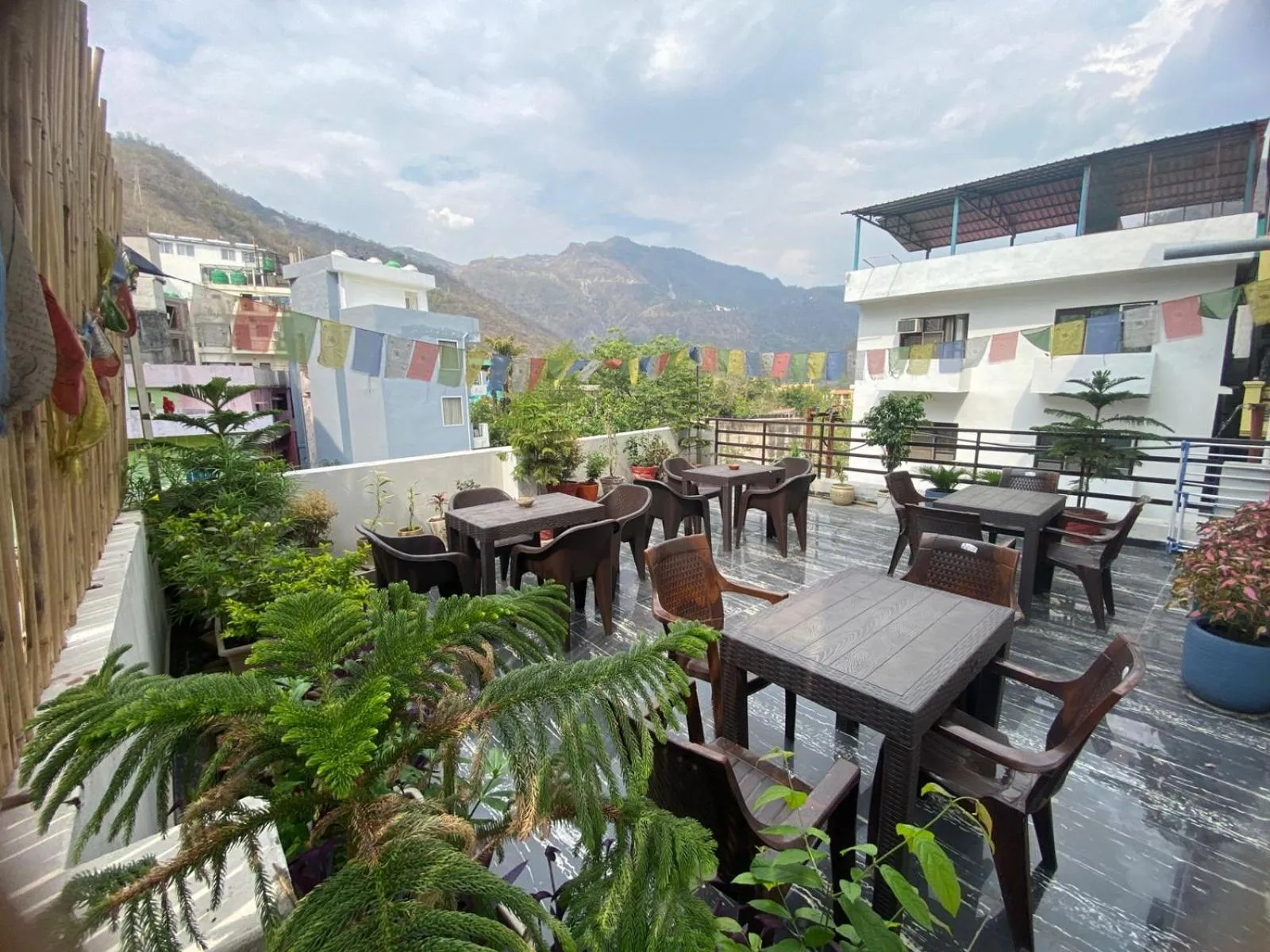 HOG - House of Gypsy