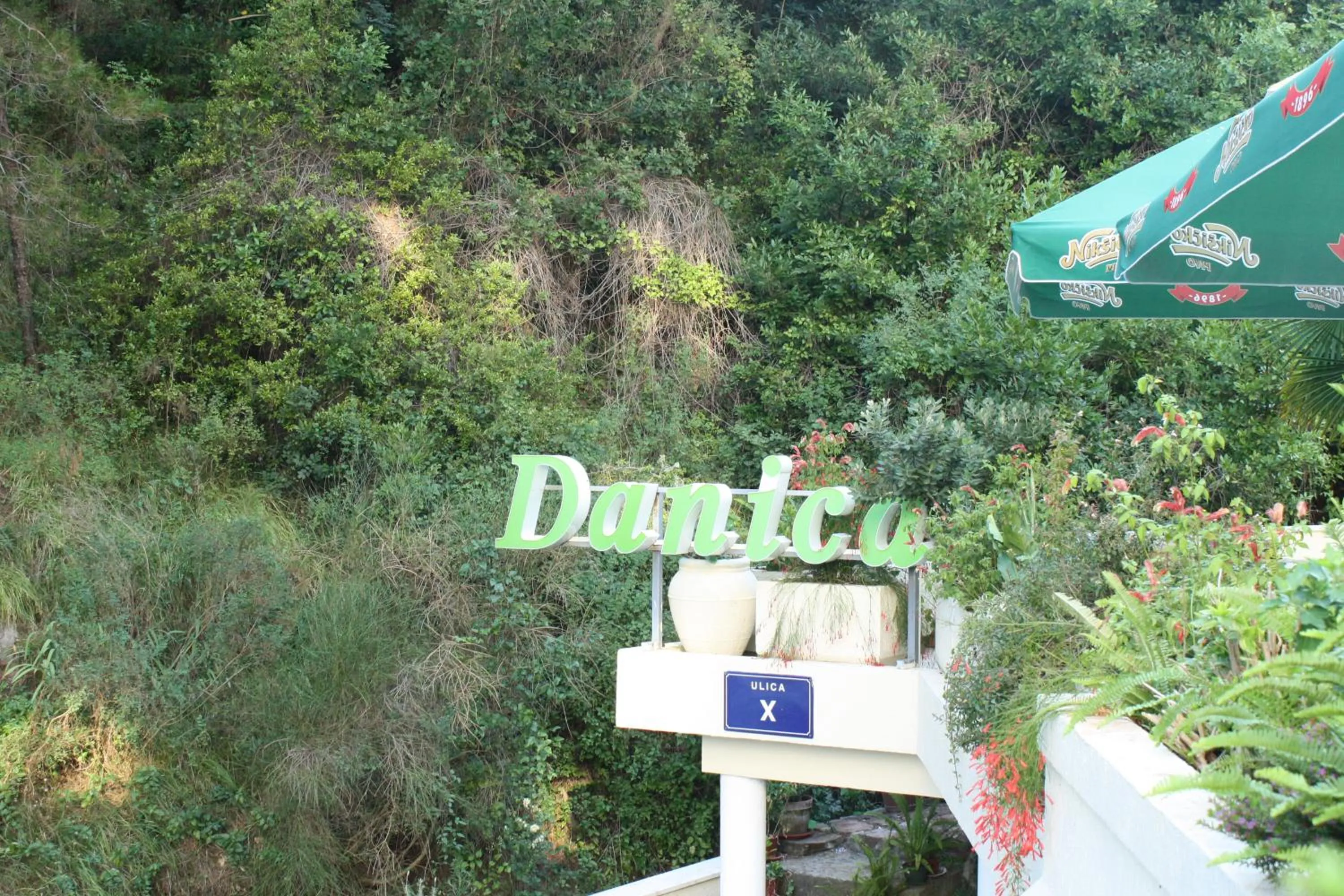 Balcony/Terrace in Hotel Danica
