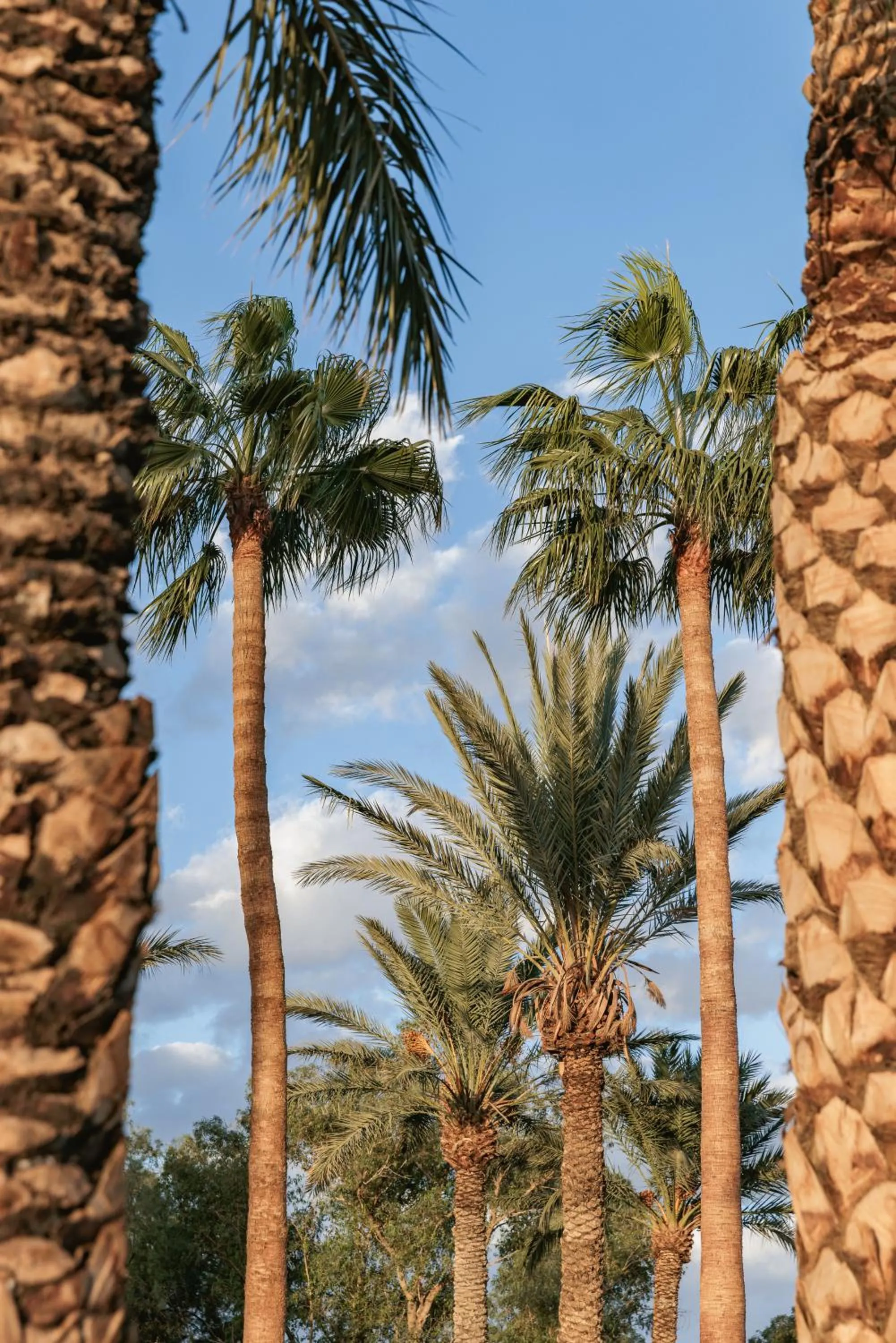 Natural landscape in Kenzi Azghor
