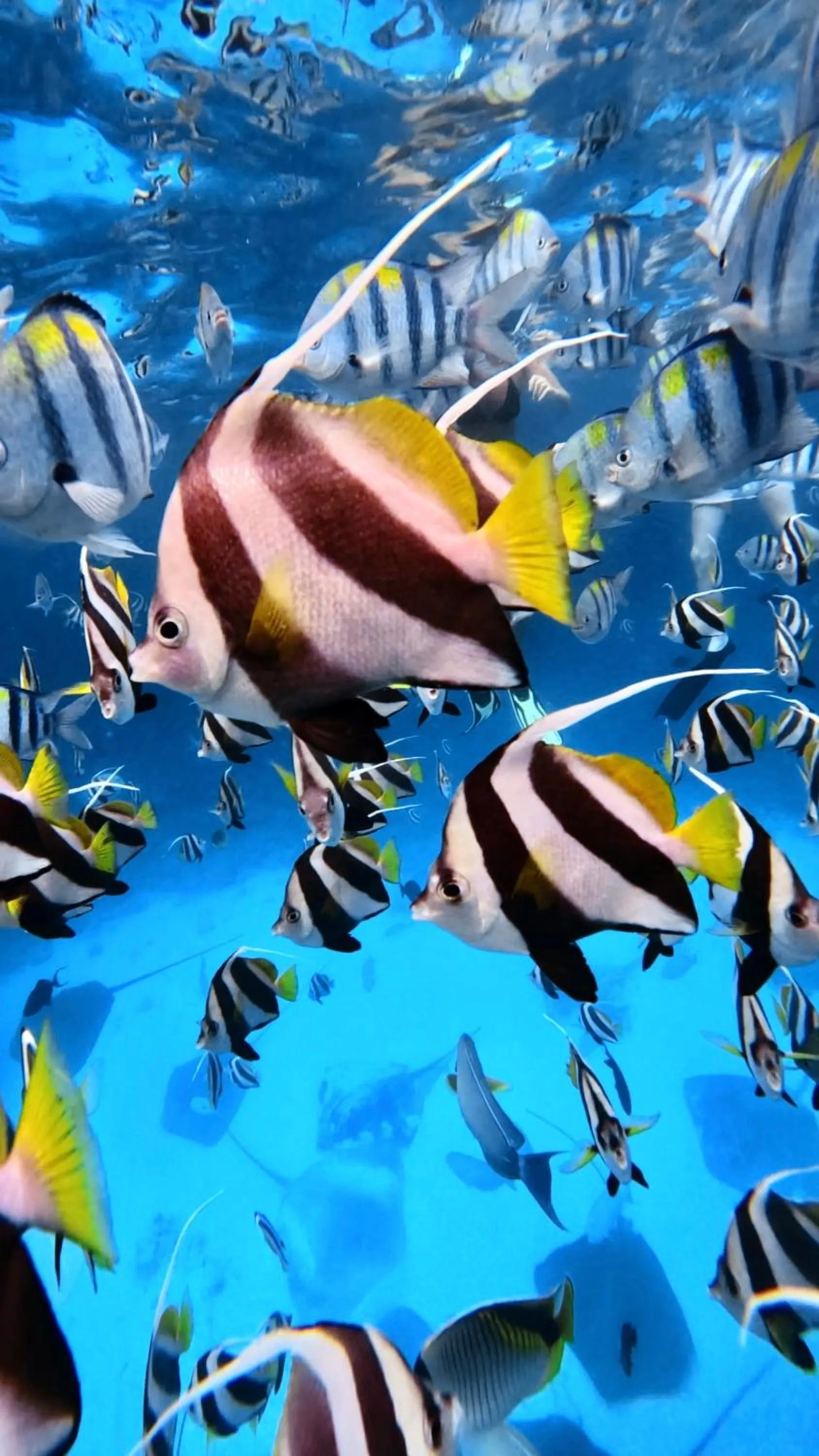 Activities in Si! Coral Inn