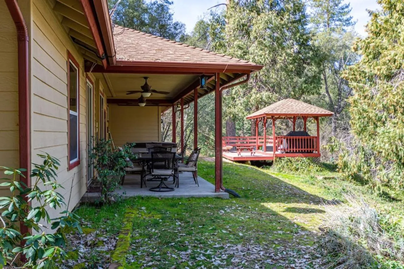 Forest Cabin by China Creek