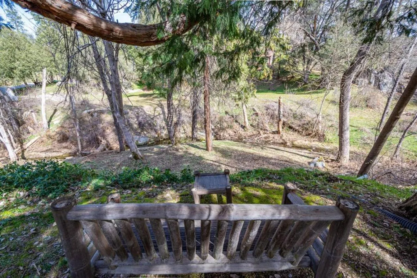 Forest Cabin by China Creek