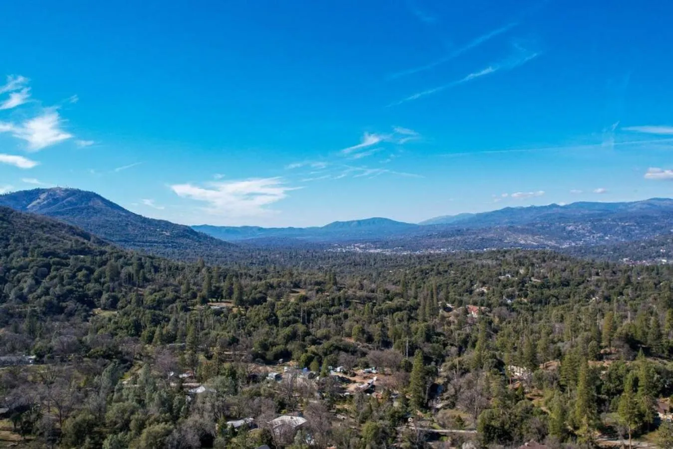 Forest Cabin by China Creek
