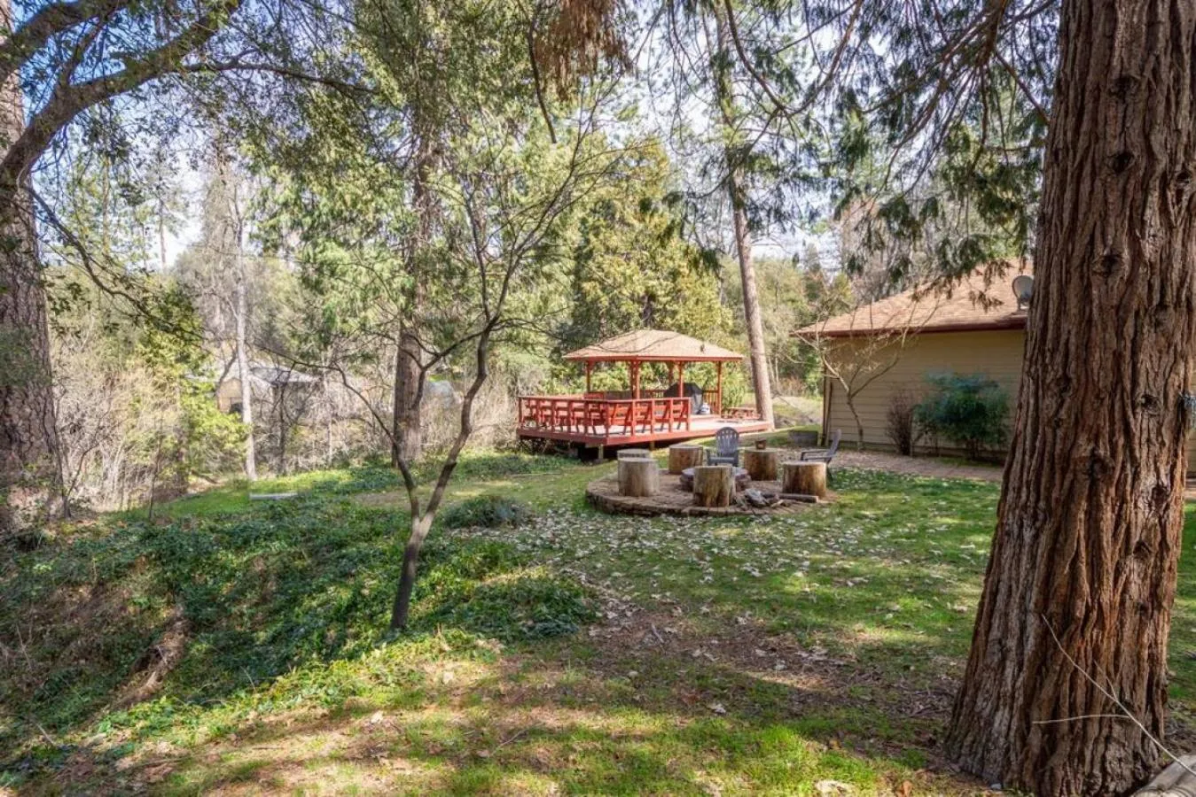 Forest Cabin by China Creek