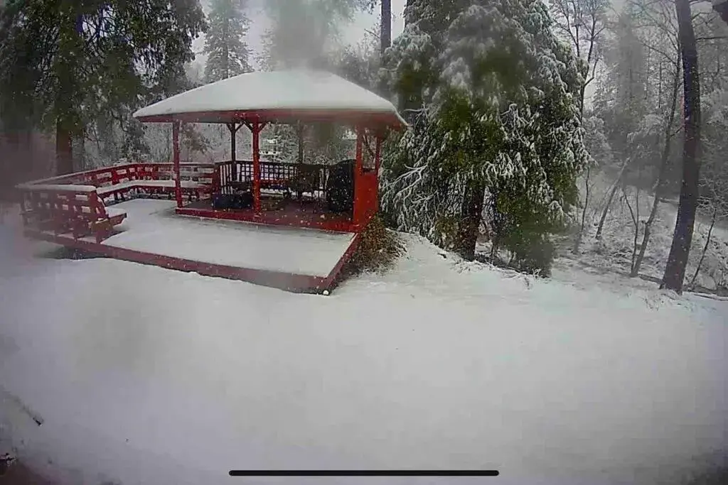 Forest Cabin by China Creek Forest Cabin by China Creek