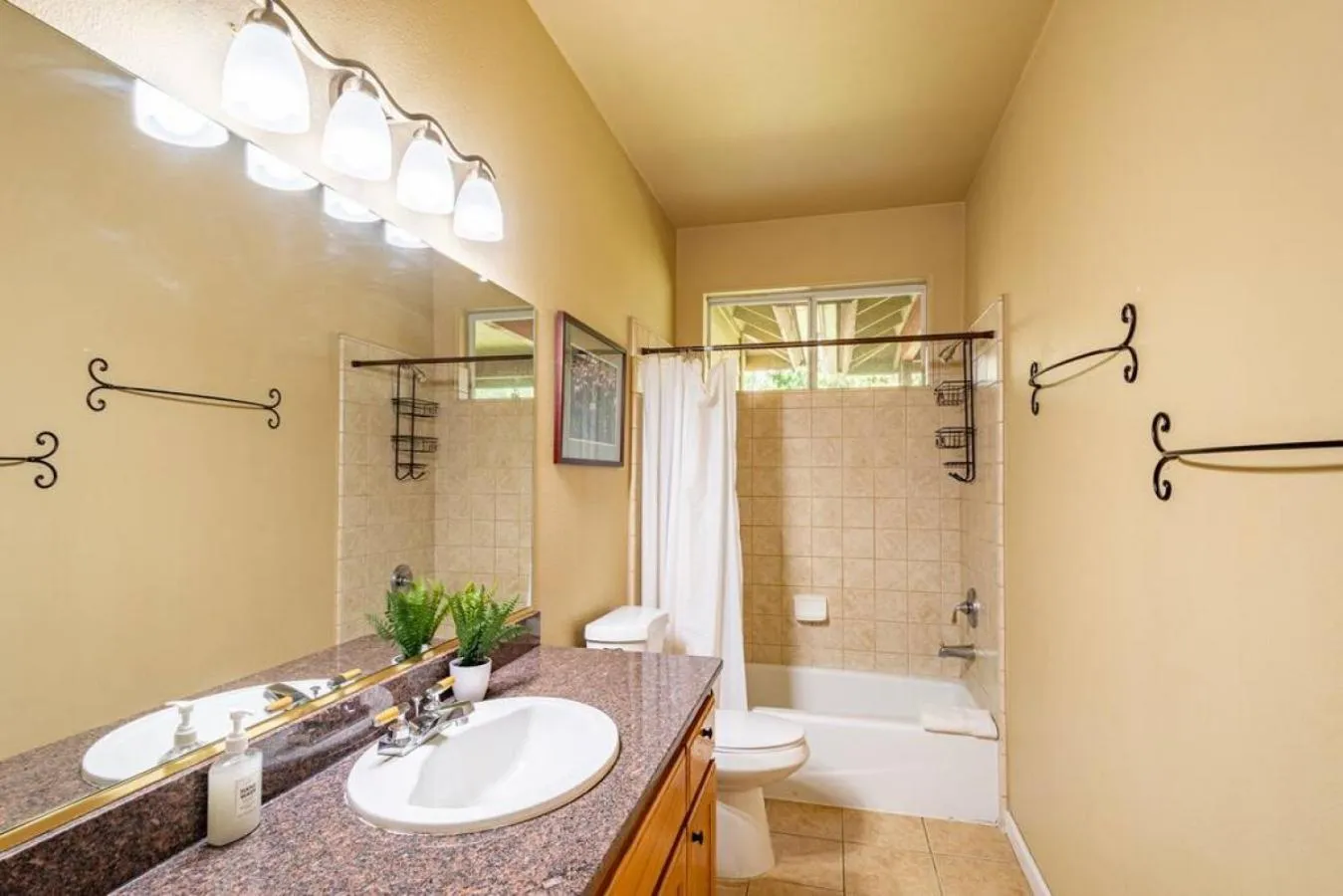 Forest Cabin by China Creek