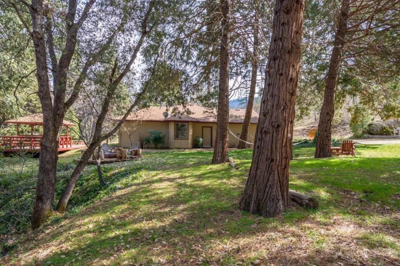 Forest Cabin by China Creek