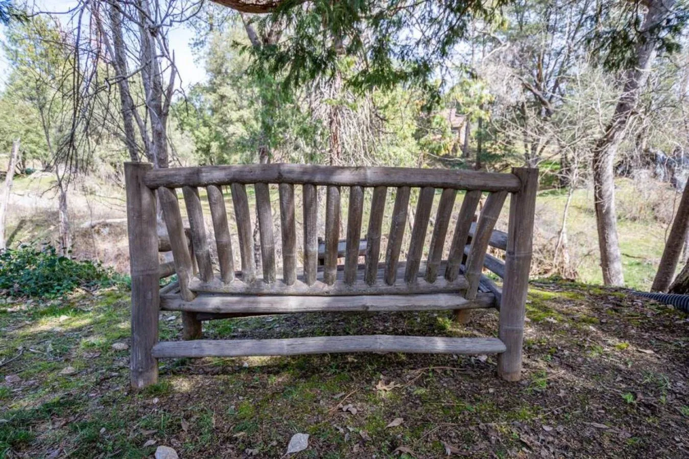 Forest Cabin by China Creek