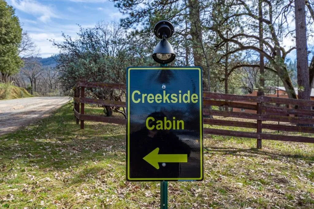 Forest Cabin by China Creek