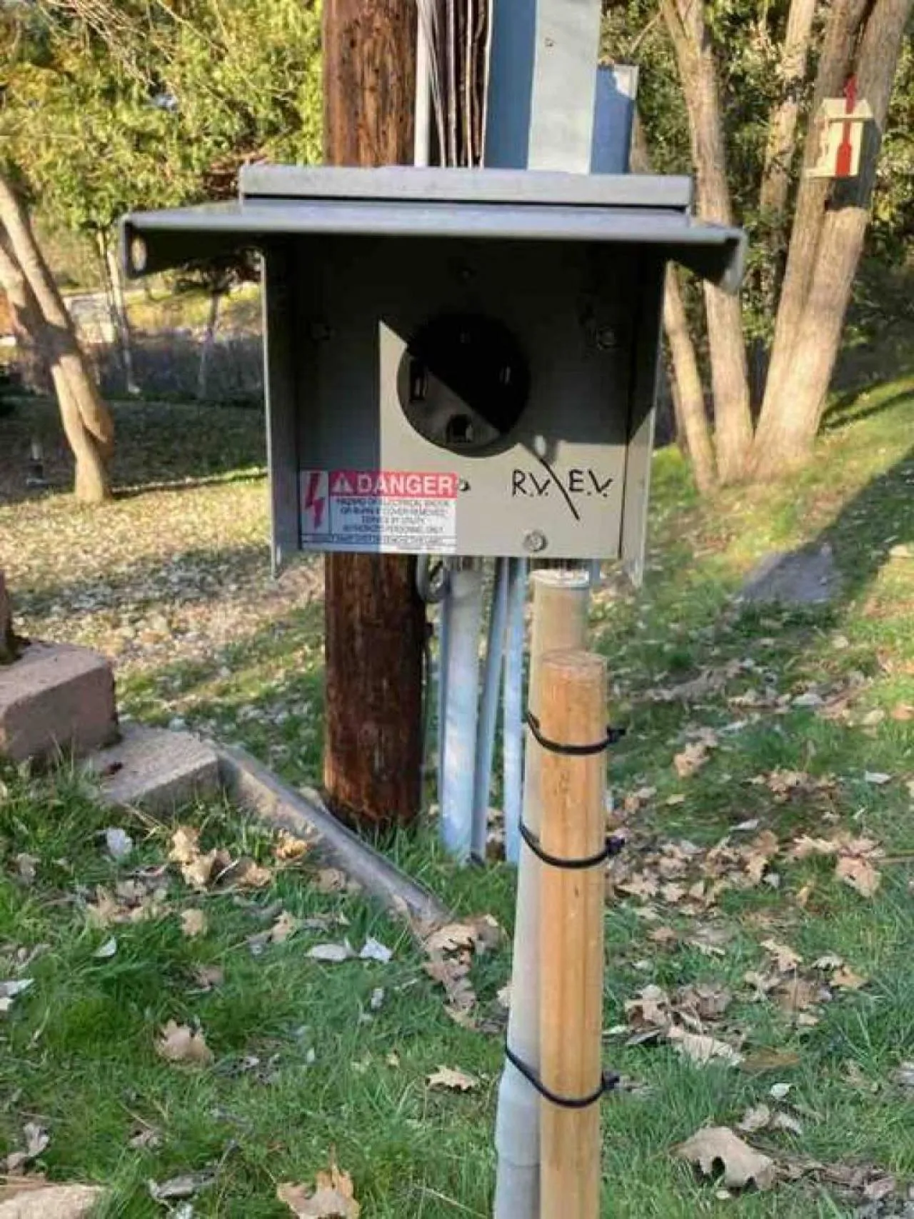 Forest Cabin by China Creek