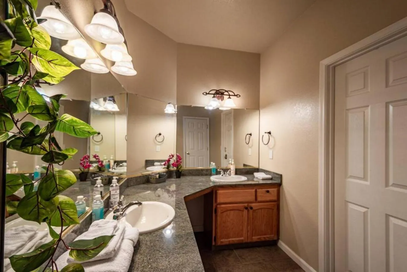 Forest Cabin by China Creek