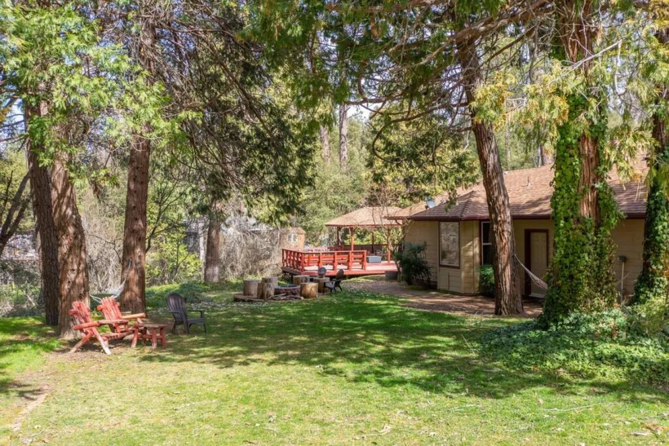 Forest Cabin by China Creek