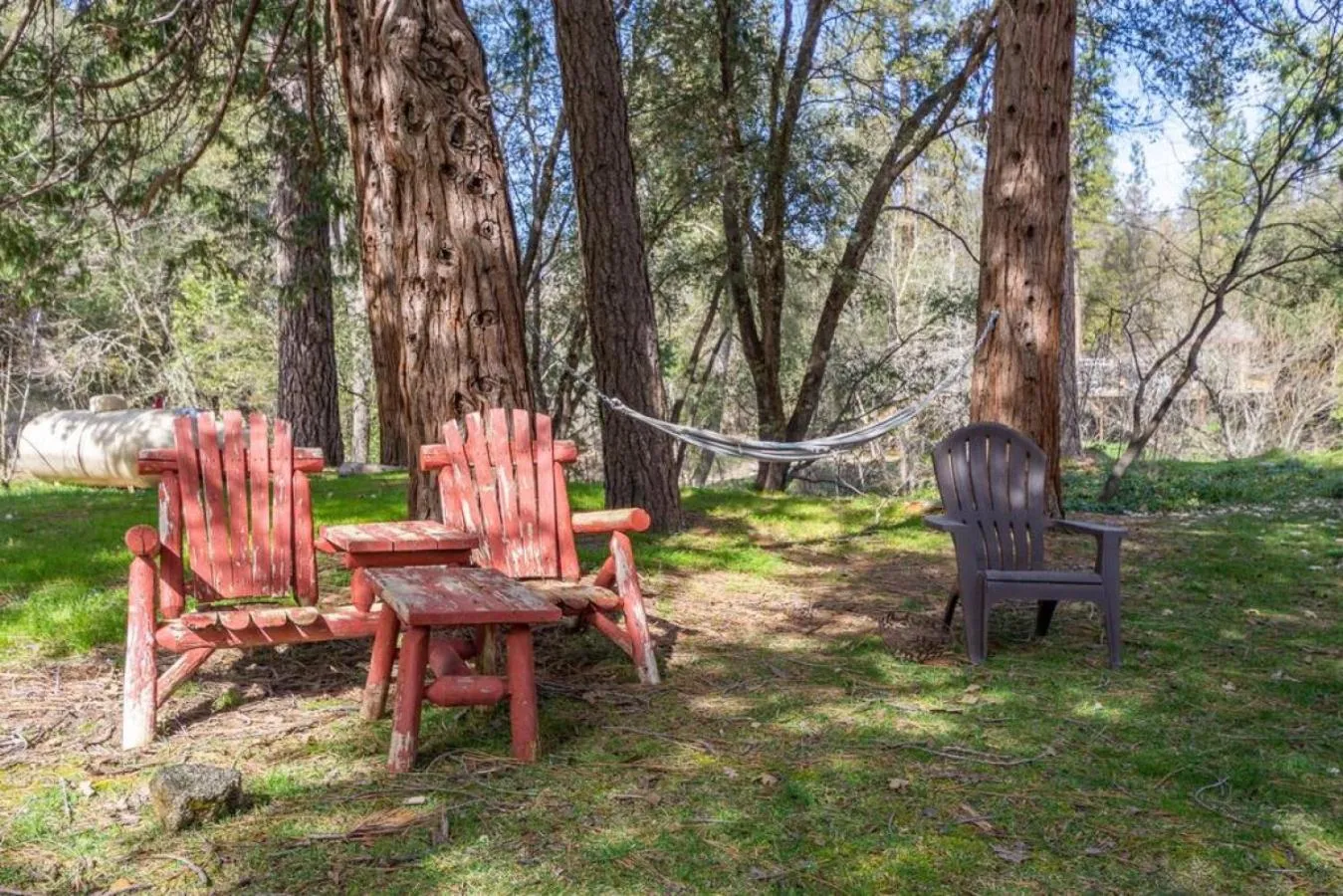 Forest Cabin by China Creek
