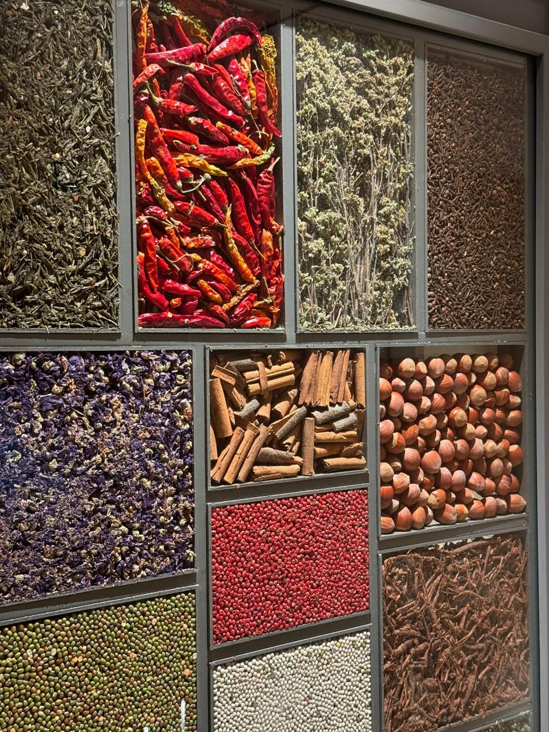 Sauna in Hotel Palazzo Durazzo Suites