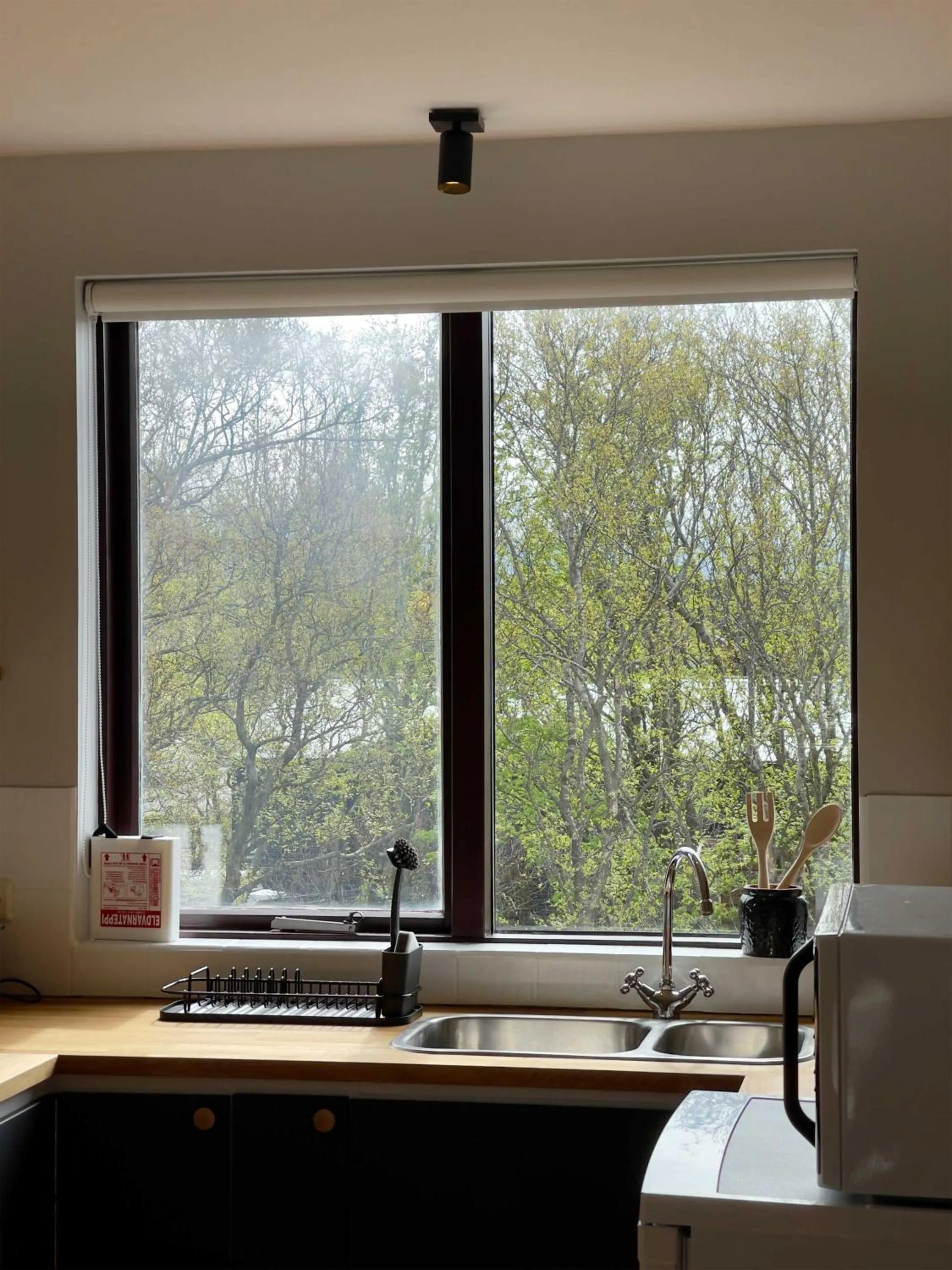 Kitchen or kitchenette in Matkráin Apartments