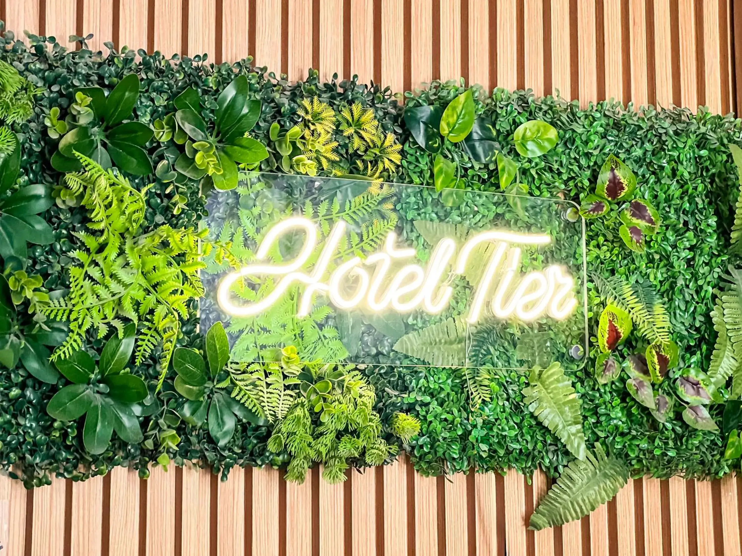 Facade/entrance in Hotel Tier Center Facade/entrance in Hotel Tier Center