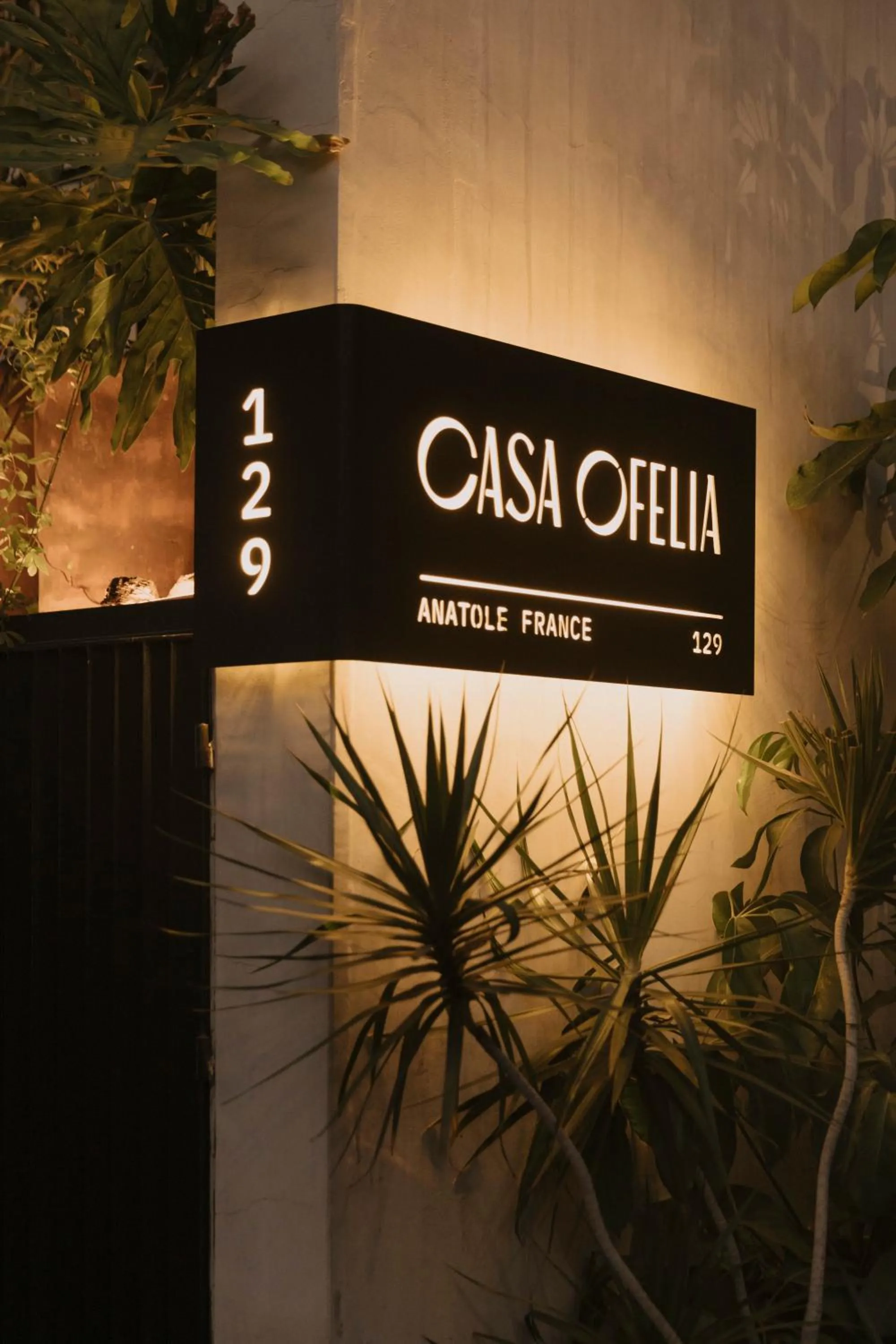 Off site in Casa Ofelia