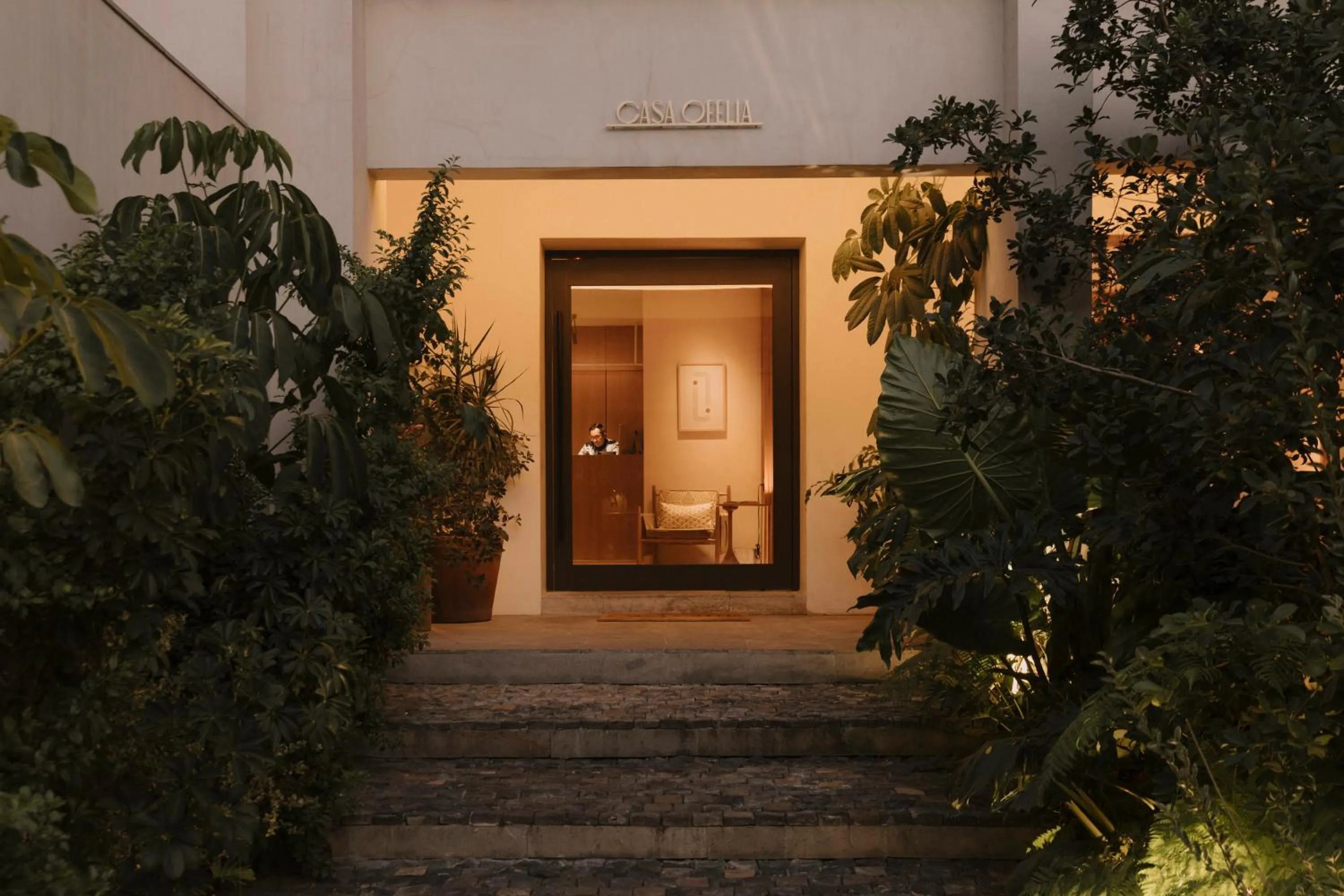 Off site in Casa Ofelia