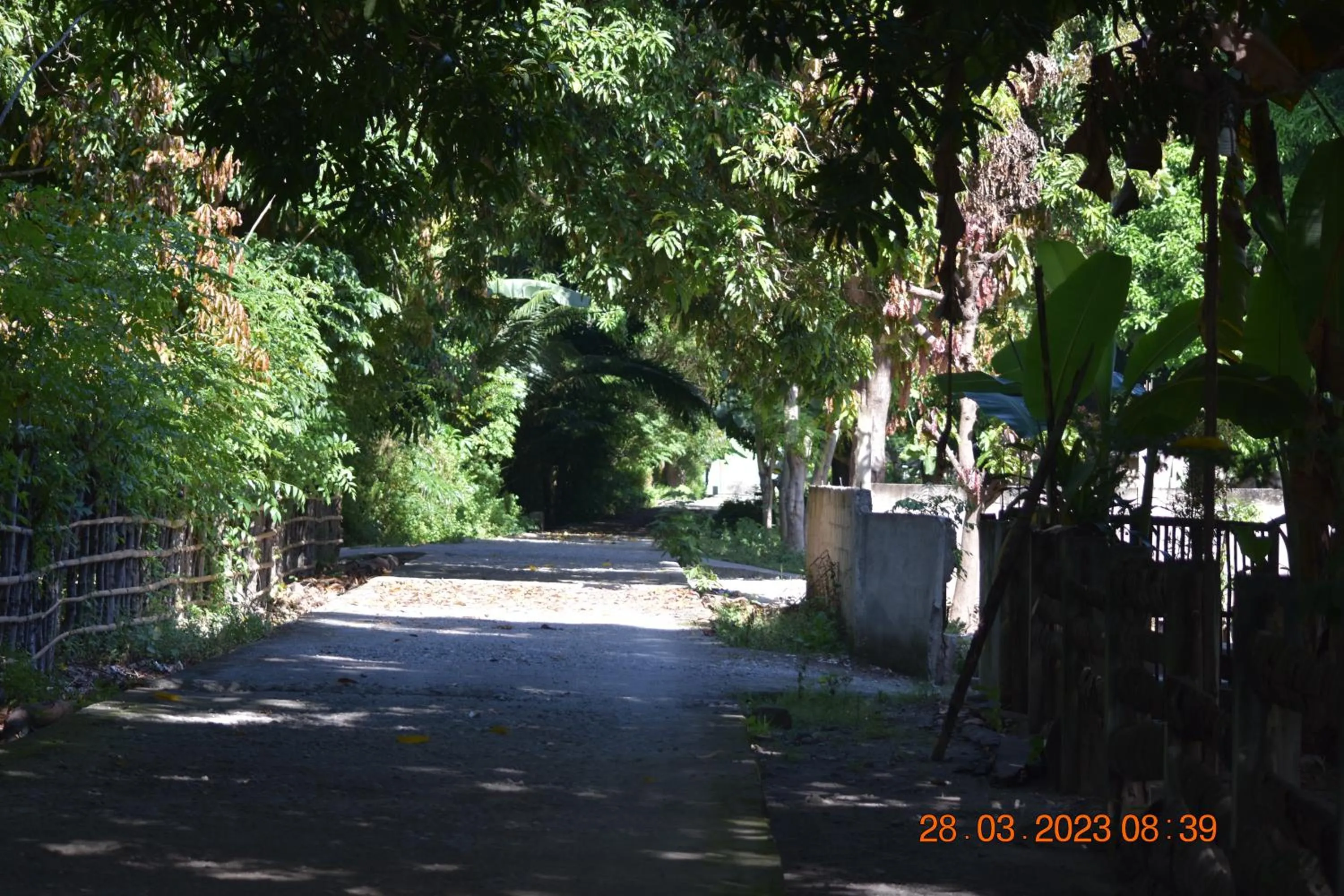 Spring in Del Mar Home Stay
