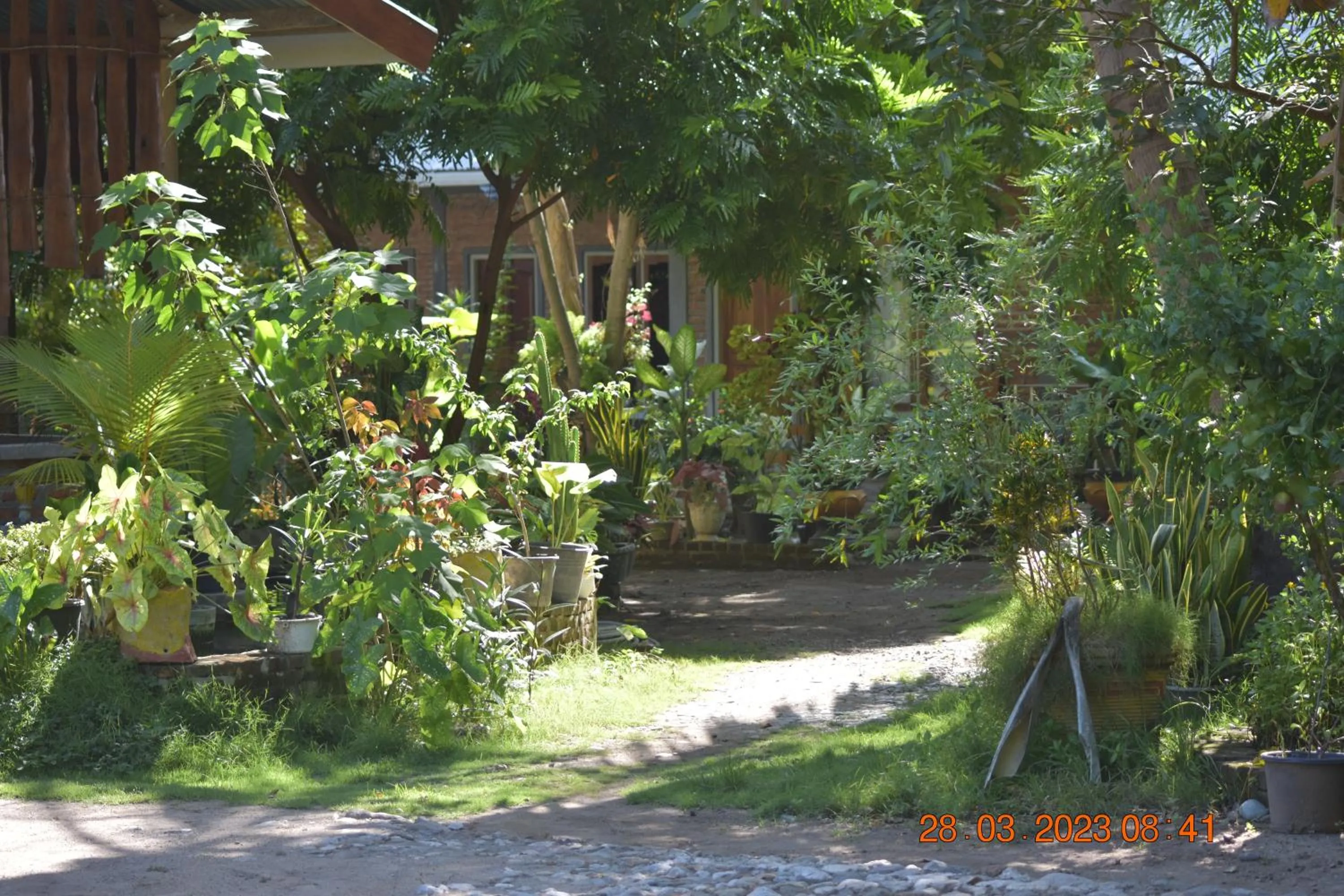 Spring in Del Mar Home Stay