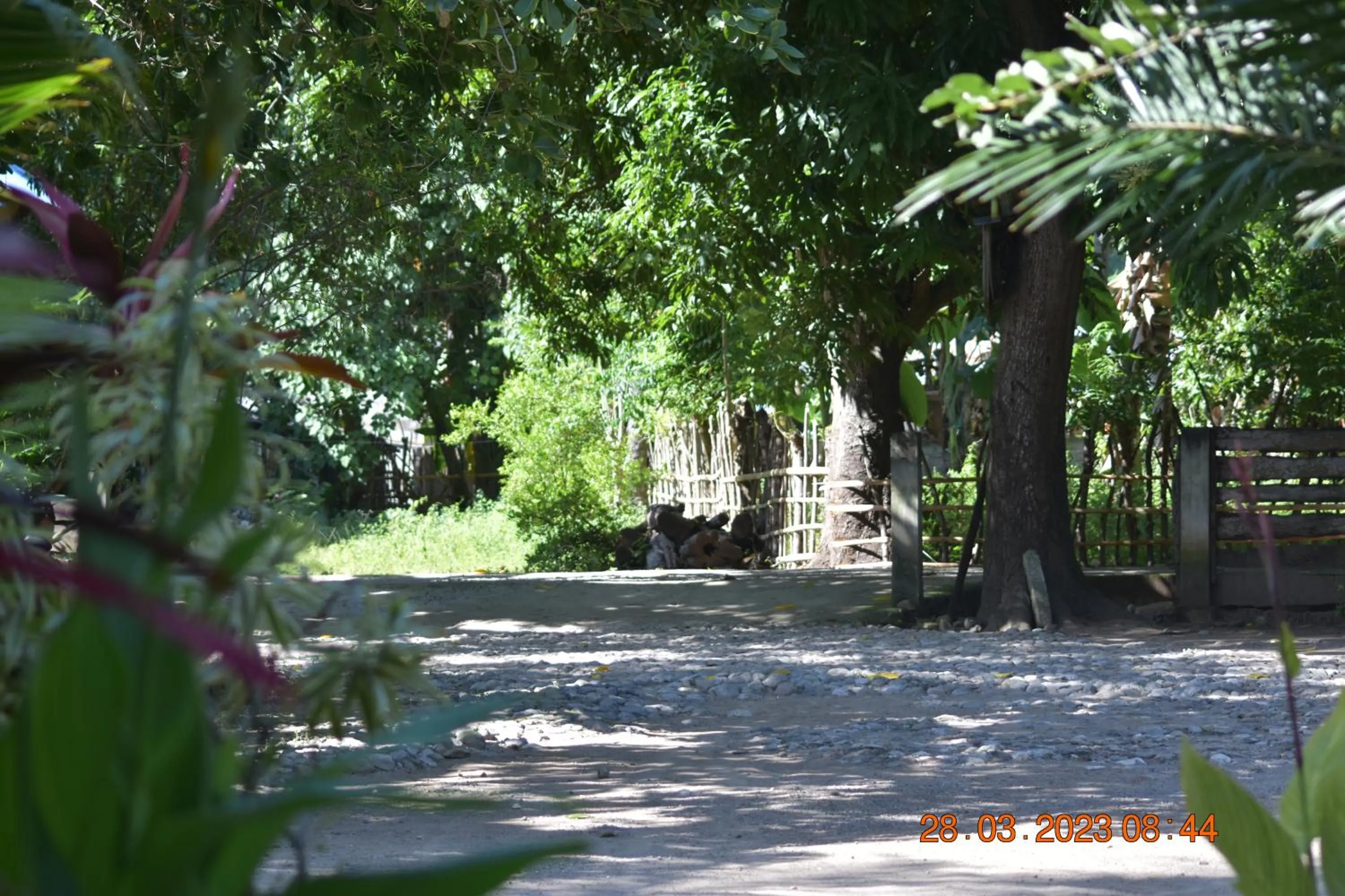 Natural landscape in Del Mar Home Stay