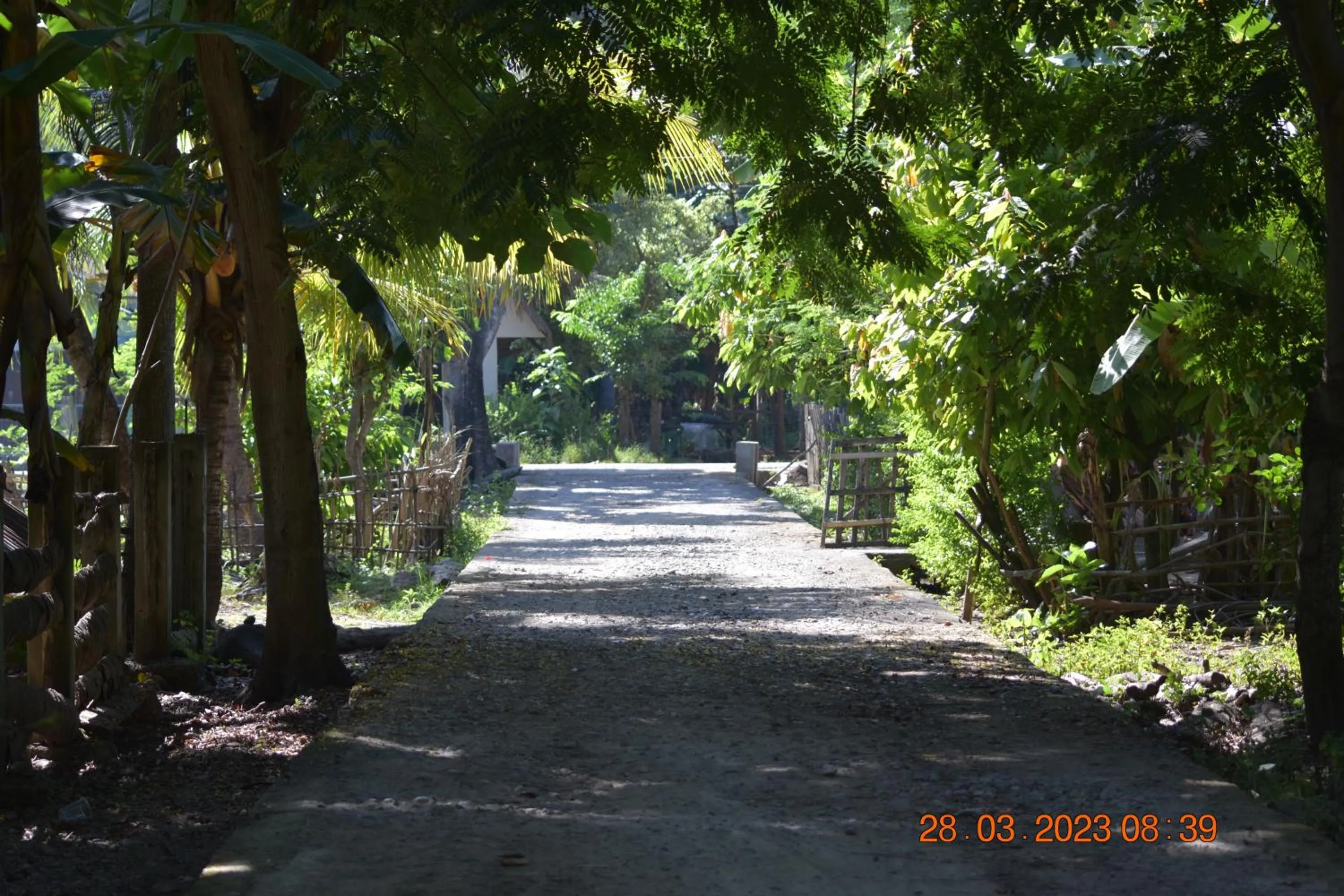 Spring in Del Mar Home Stay