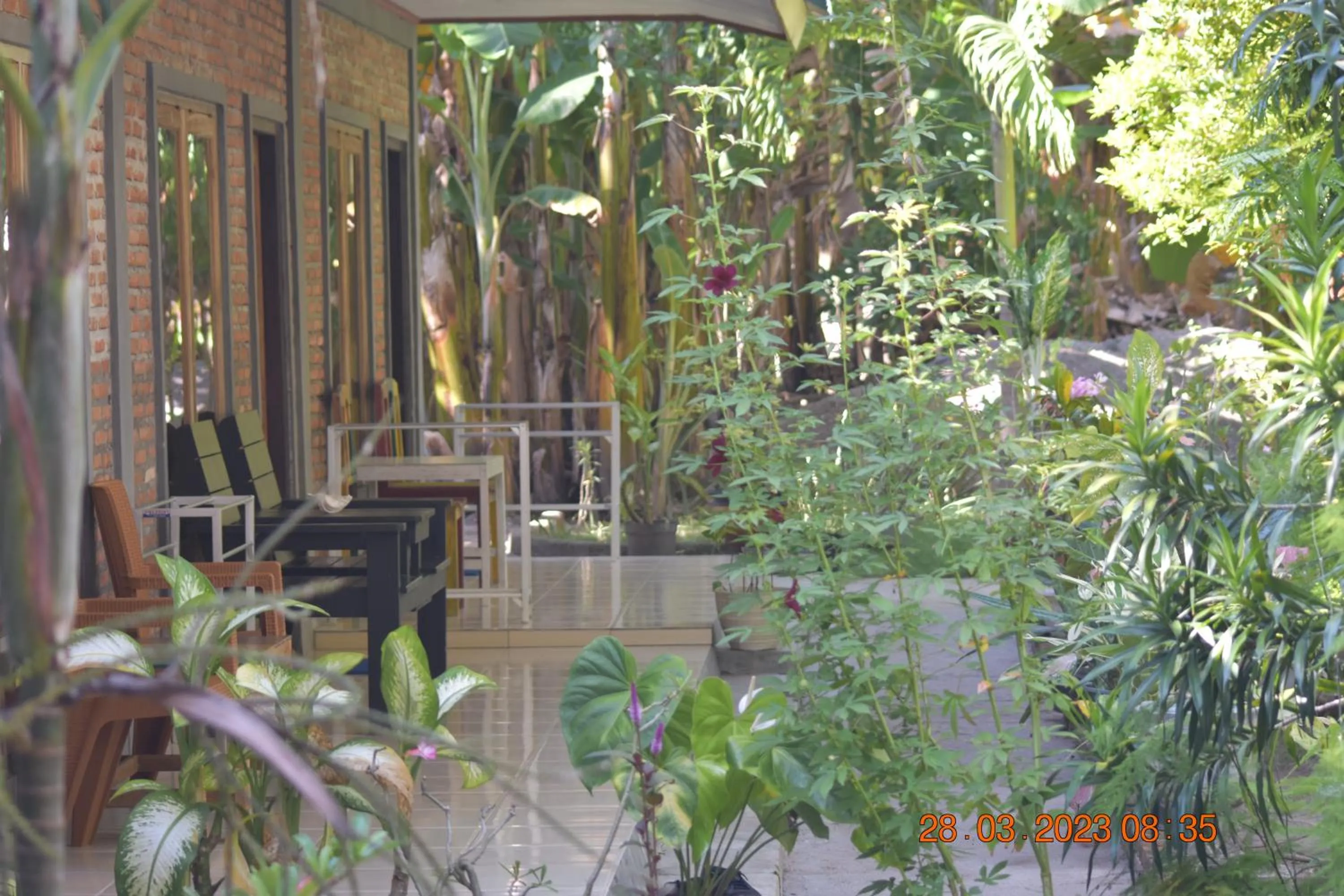 Balcony/Terrace in Del Mar Home Stay