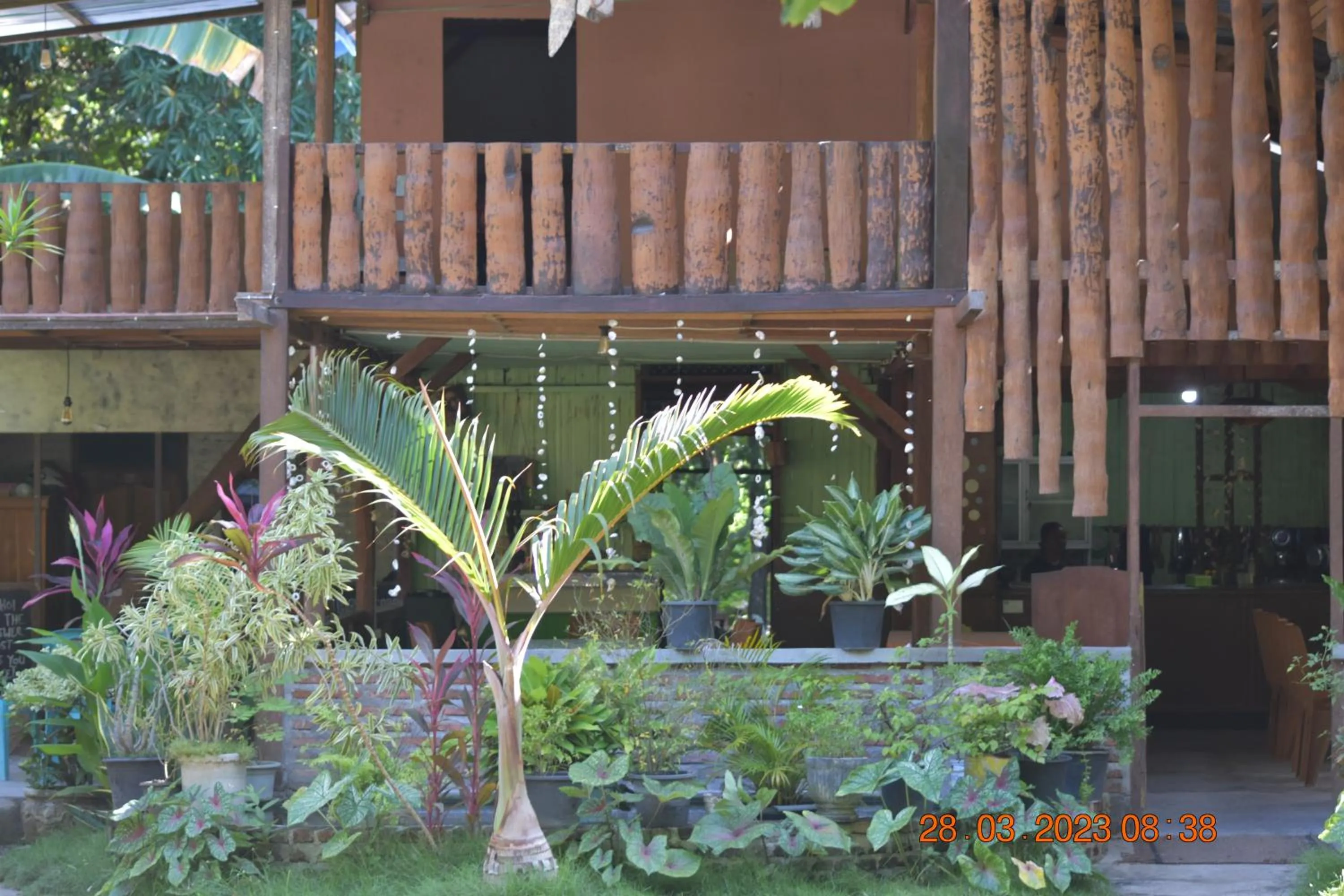 Garden in Del Mar Home Stay