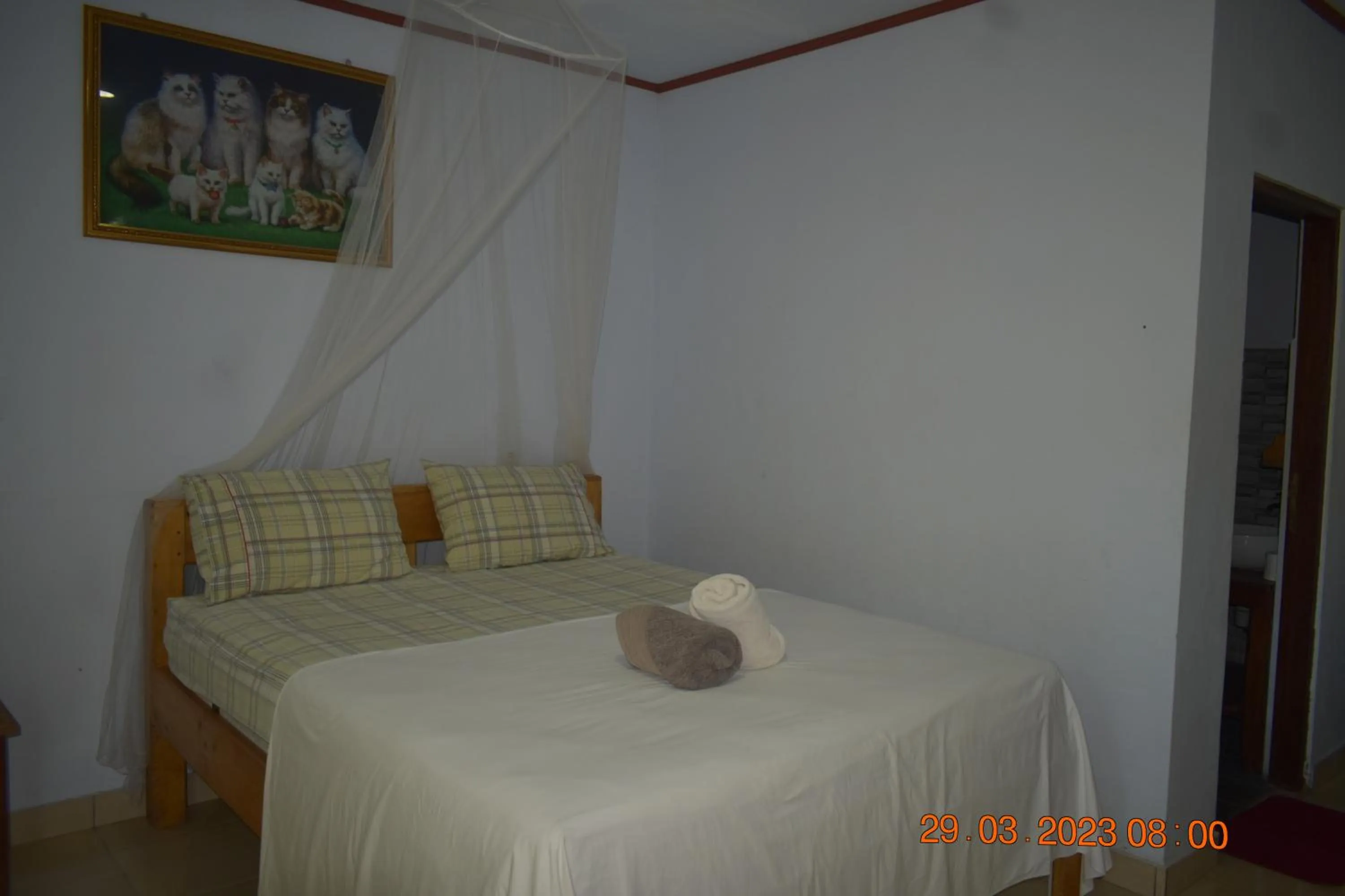 Bed in Del Mar Home Stay