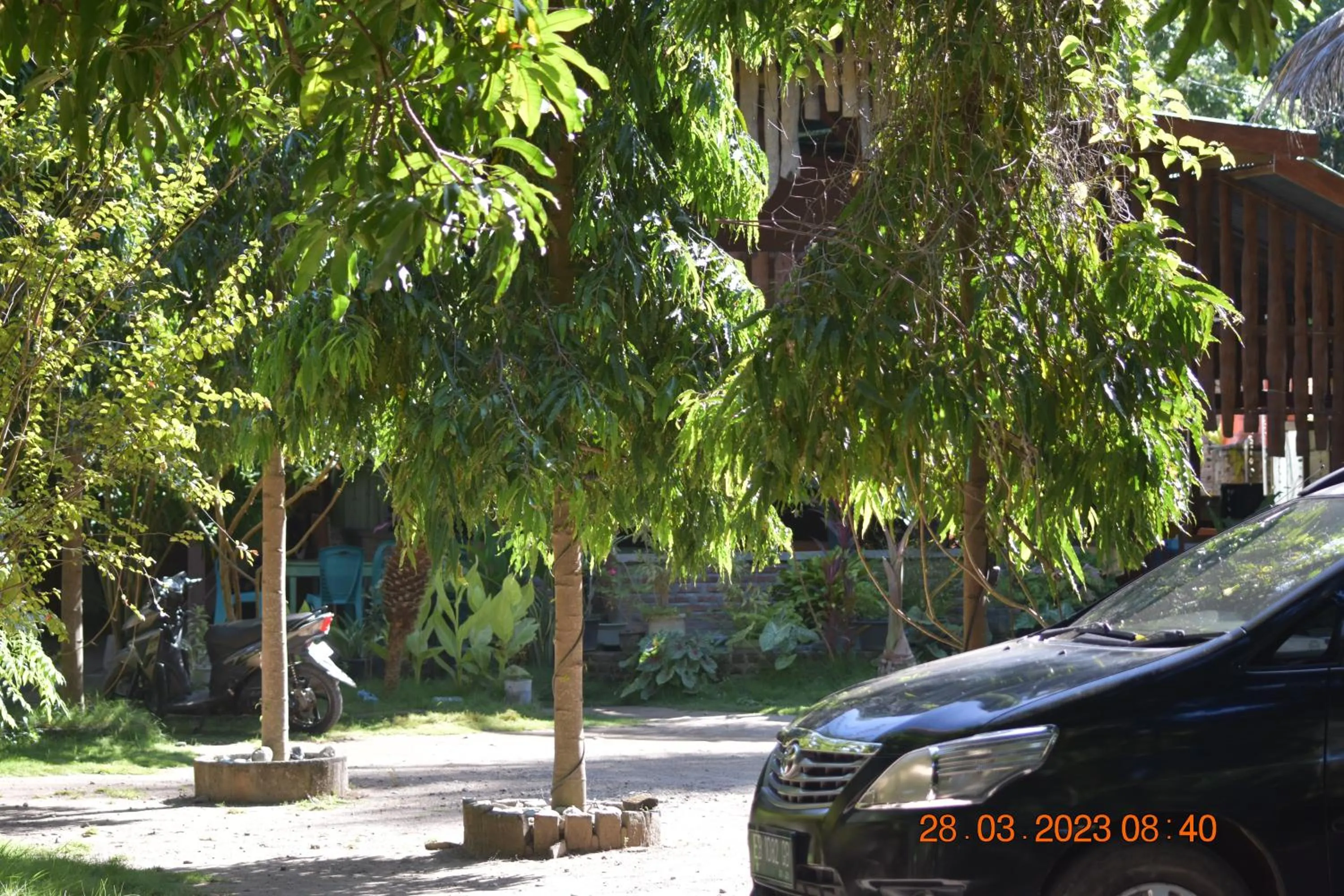 Spring in Del Mar Home Stay